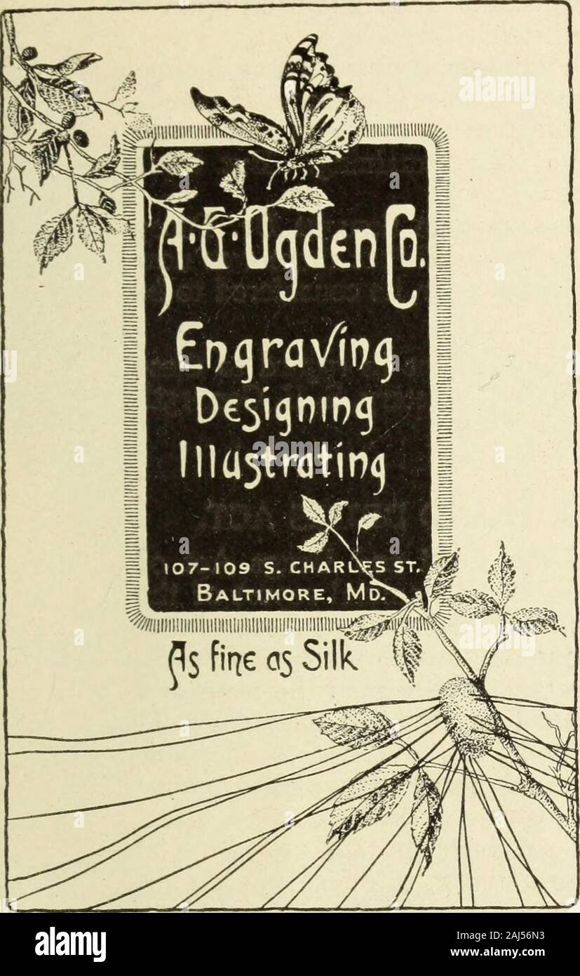Maryland medical journal . Schwenk ha dichiarato che egli riteneva che il dott. fascette di fissaggio Posey di con-clusione che la irritazione corneale è stata causata da vento ladenwith estranei, era abbastanza ragionevole. Il dott. Posey mostrava un bambino che aveva subito un perforatingwound del limbus. L'iris era stata prolapsed e il lensinjured. Come il caso non ha relazione all'ospedale fino al 48 hoursafter il pregiudizio si è verificato, ha trattato il caso con speranza,soprattutto in quanto non vi è stata una certa mandata da congiuntiva. Hethought è un errore in casi di questo genere di aprire il woundafter esso è stato una volta chiuso parzialmente uovere Foto Stock