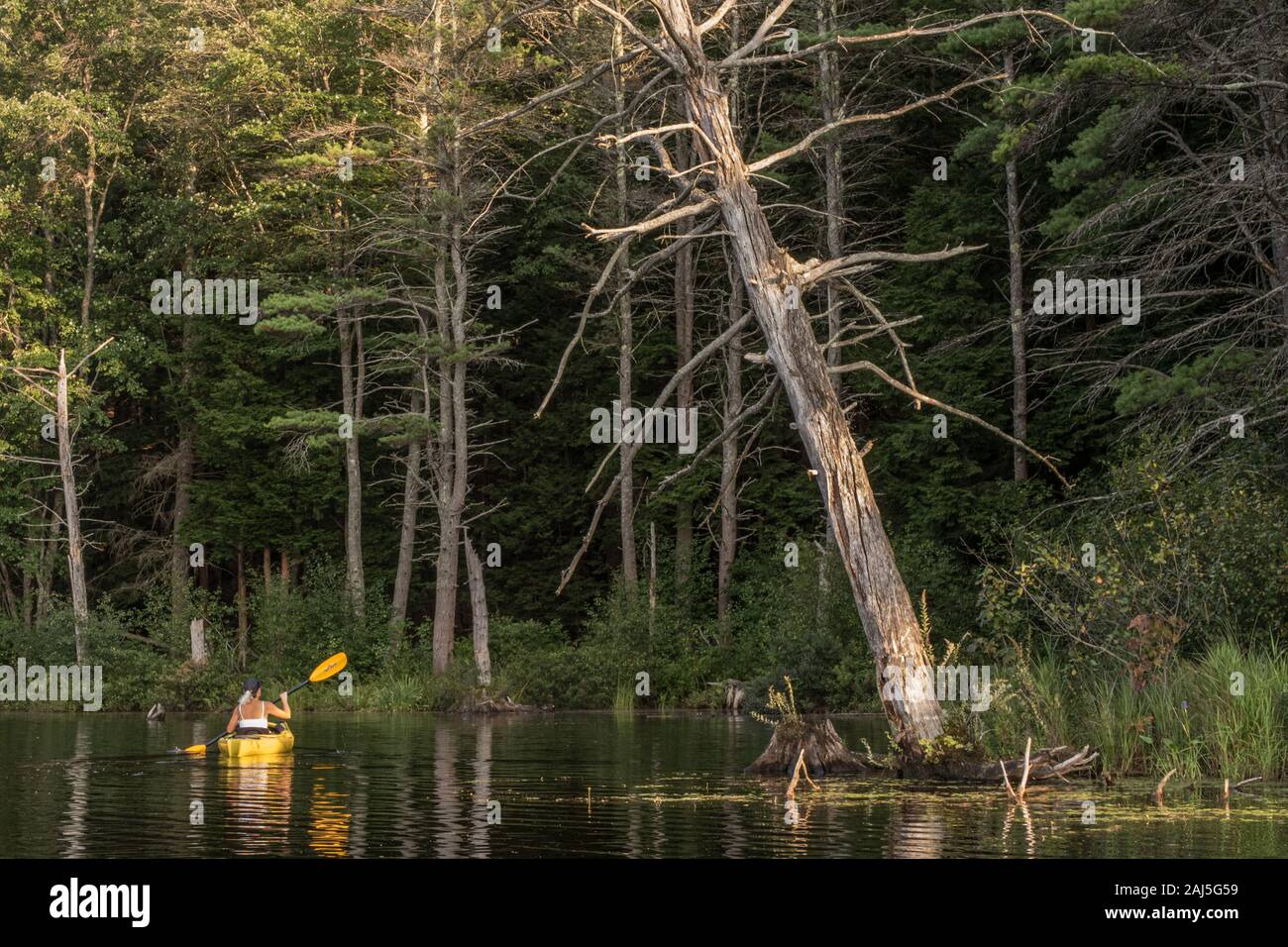 Il Tully Lago, Royalston, Massachusetts Foto Stock