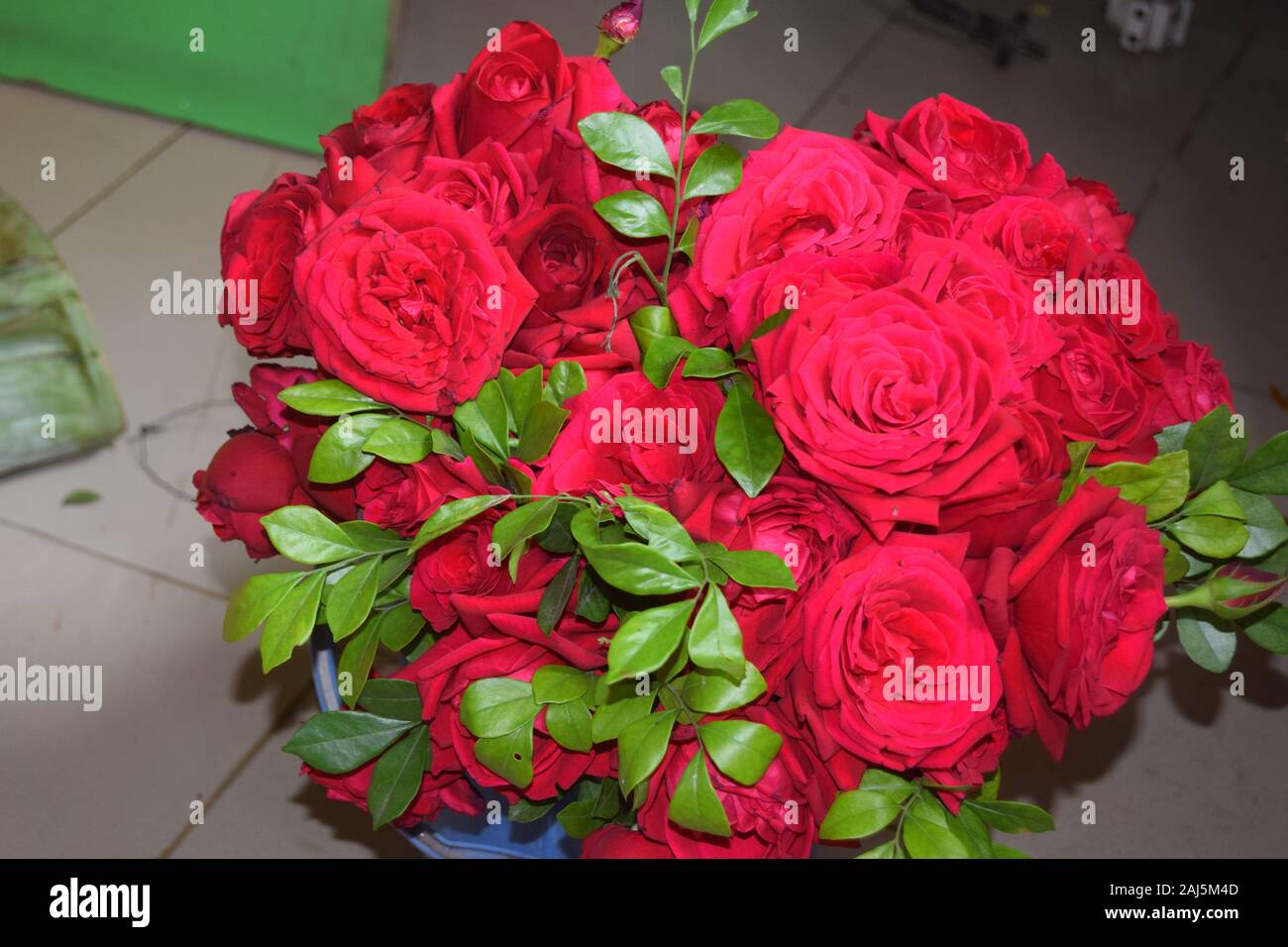 La maggior parte delle bellissime rose rosse Foto Stock