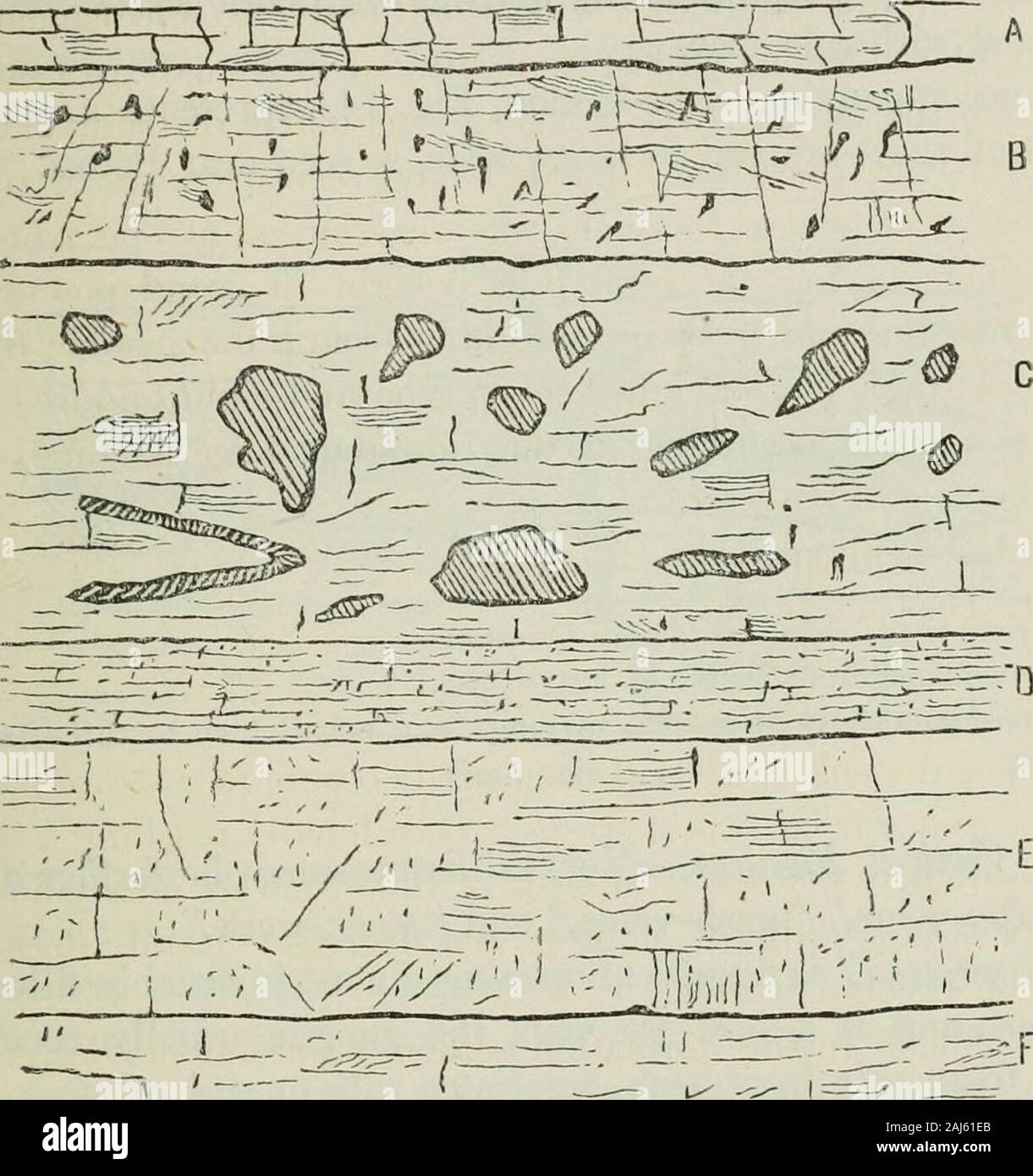 Le transazioni . diminuisce di spessore più o meno in tutta la miniera. Thisslate è molto interessante, in quanto contiene il solo resti organici (aLingula) ho osservato nella formazione ; è anche il depositoryof il solo cloruro di bario cristallizzato del nichel e cobalto e minerali, whichoccur in cubetti bello di cobalto colpo d'occhio. Questo diffuso il verificarsi del minerale di piombo è probabilmente il mostvaluable wc sono in Missouri, e sebbene non cedevole come largelyin una determinata area come fare la creta scavi e grotta di formazioni del centro e sud-ovest del Missouri, l estrazione è probabilmente il moreremunerative come Foto Stock