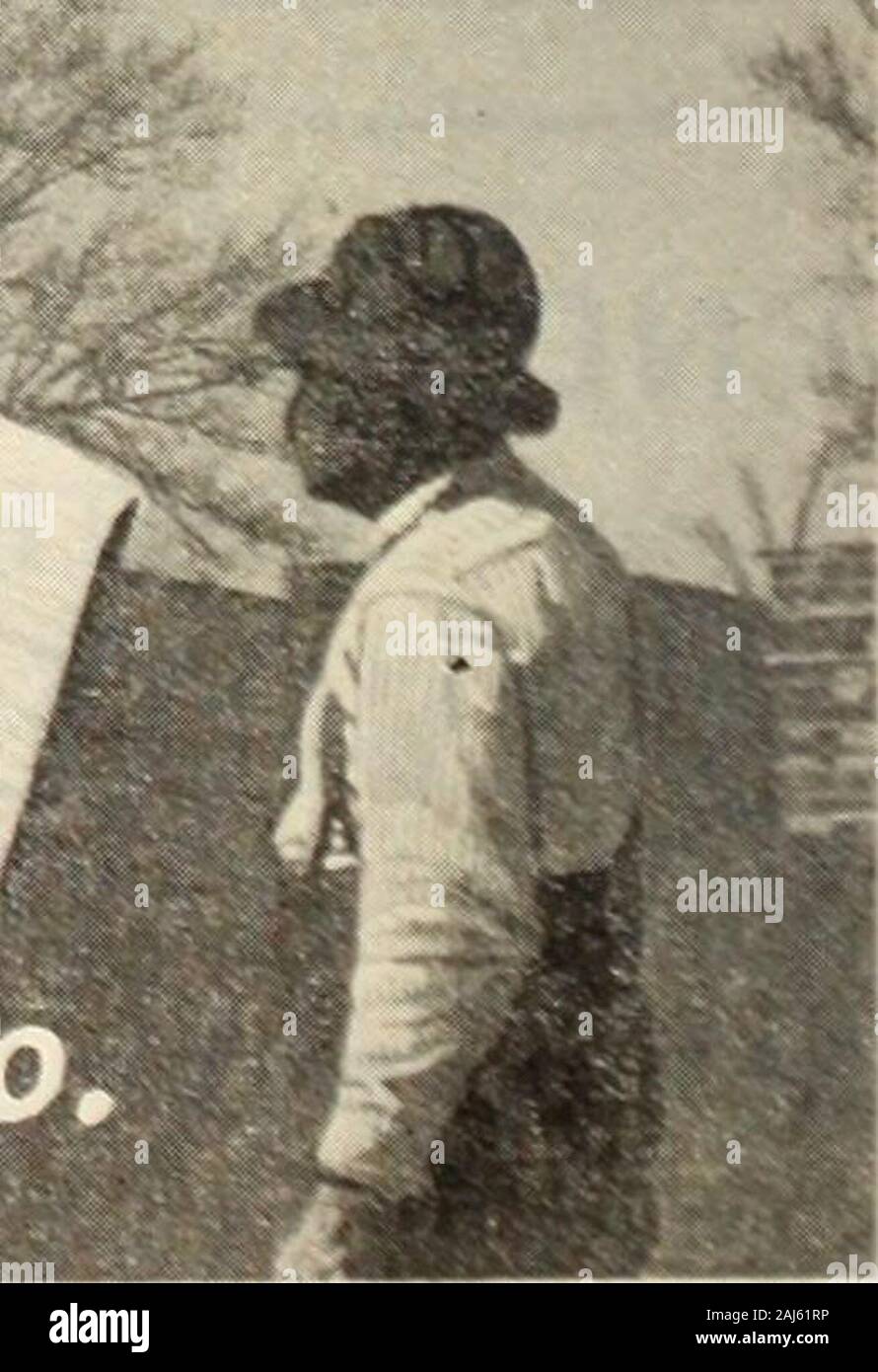Legno canadese prodotti industrie . Chapman e Dewey Lumber Co. Memphis, Tennessee. Falegname canadese un d fabbricante di mobili 33 Stimson Veneerand Lumber Co. (Inc.) Ufficio e Mill: McLean Ave. e cinghia Unione R.R. Memphis - Tennessee Vendiamo solo ilprodotto del nostro ownmills e rendere bandsawn legname in allSouthern Hard-boschi. Ci specializziamo inQuartered WhiteOak, Quercia Rossa, andRed Gum. Con le società alleate wemake cinquanta millionfeet annualmente. J. V. StimsonHardwood Co. I produttori e i mulini ExportersBand : Memphis, Tennessee, Helena, Ark. Memphis - Tennessee Elenco di stock squartati quercia bianca 3 vetture 4/4 Fas. Foto Stock
