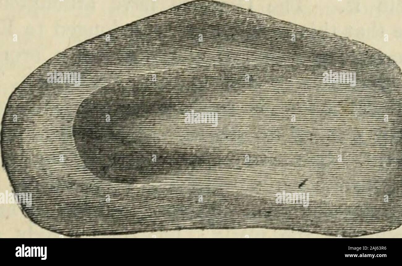 Harper's nuova rivista mensile Volume 21 giugno a novembre 1860 . La ECI IJALAIS5Y. A Dresda, nel gabinetto chiamato GreenVault, vi è una coppia di rubino orecchini, contengono-ing otto pietre che sono valutate a circa$20.000 il nostro denaro, ma sono detti essere worthmuch più. La corona inglese contiene manyfine rubini, la più grande delle Avhich è a forma di cuore,e quasi tre quarti del aninch in diametro. Era da resemblanceto una viva del carbone, quando heldagainst il sole, che questo stonereceived il nome carhunculus;e questo nome a sua volta portato finoal errore che essa aveva il powerof emettitori di luce, o Foto Stock