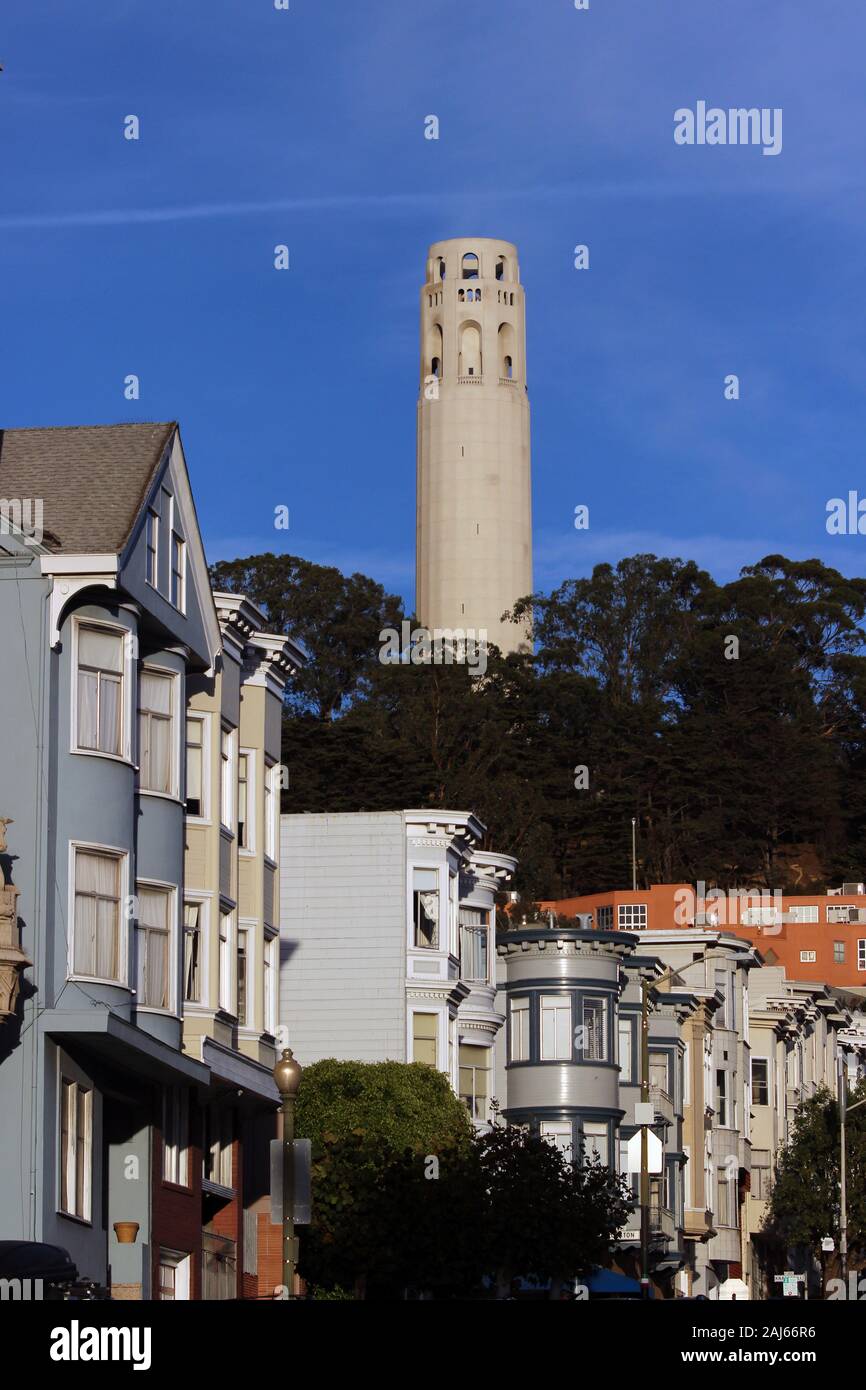 Torre Coit crogiolarsi al sole del pomeriggio sul colle del telegrafo di San Francisco, Stati Uniti d'America Foto Stock