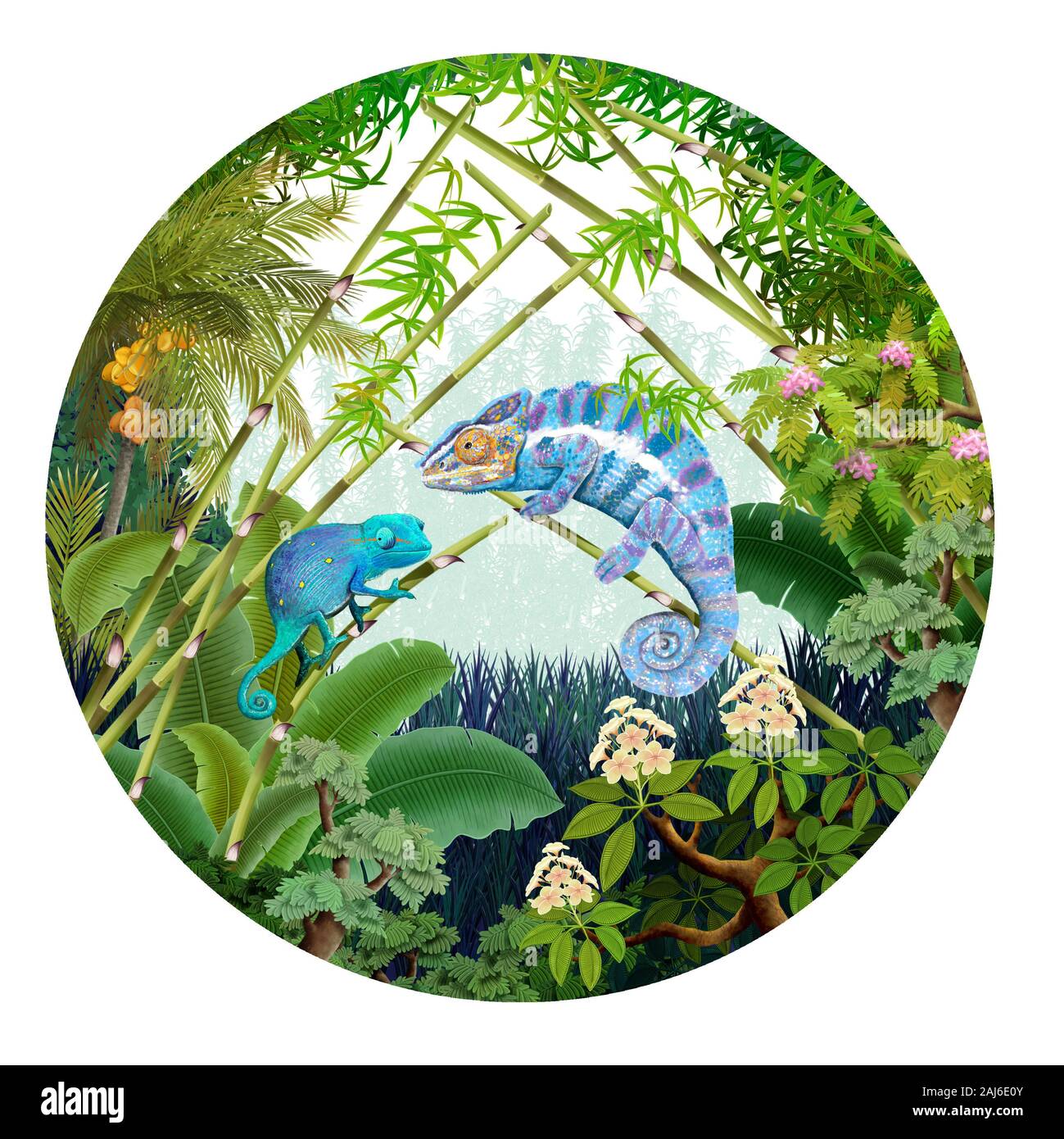 Chameleon full color illustrazione digitale Foto Stock Chameleon full color illustrazione digitale Foto Stock