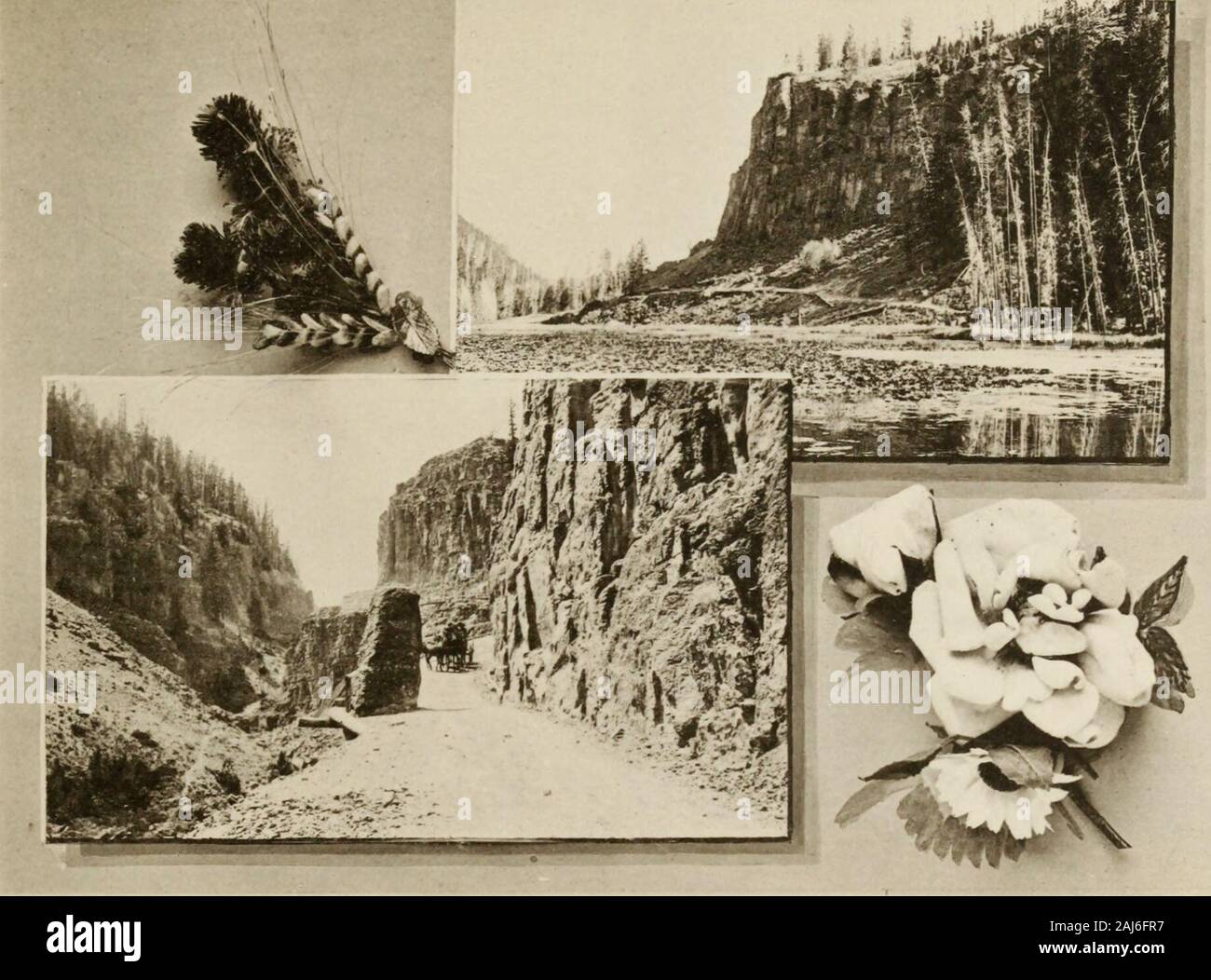 Parco Nazionale di Yellowstone illustrato . MINERVA Terrace e il monte EVARTS.. Ingresso Est al Golden Gate. OBSIDEAN CLIPF. Foto Stock