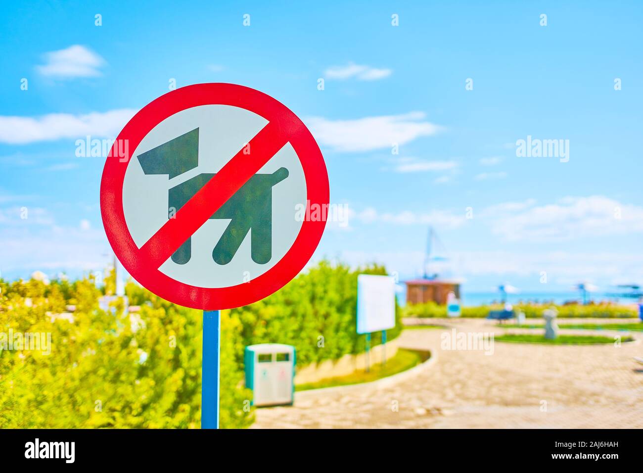 Cane segno di divieto. Cani non ammessi vietato segno rosso Beach all'esterno. Foto Stock