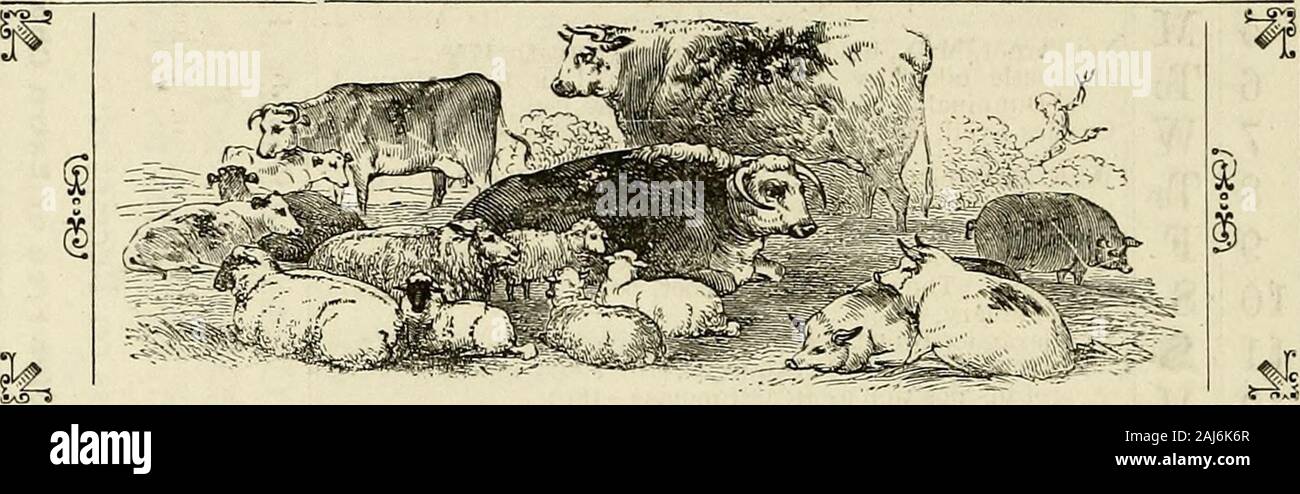 L'Arbroath year book e Fairport almanacco : directory per Arbroath, Carnoustie, Friockheim e quartieri circostanti .. . D-1885. Alex. Brown, LL.D., ? Nato a Grange di Conon-1814.CREATO LL.D.-1870. Ritratto presentato. Annuityl^risentiti-XXI Marzo, 1884. La popolazione di Arbroath in 1821, 8906 ; nel 1831 era 11,211 ; nel 1891 era 22,997.Arbroath artiglieria Drill Hall aperto-1890. George Dempster di Dunnichen, p.f. per l'Angus I Burgh,morì, 1818; nato a Dundee, 1733. Ha fondato la villageof Letham. Il gas utilizzato per la prima volta in Arbroath-1820 crollo di ingresso dock ad Arbroath-1882 La spir Foto Stock