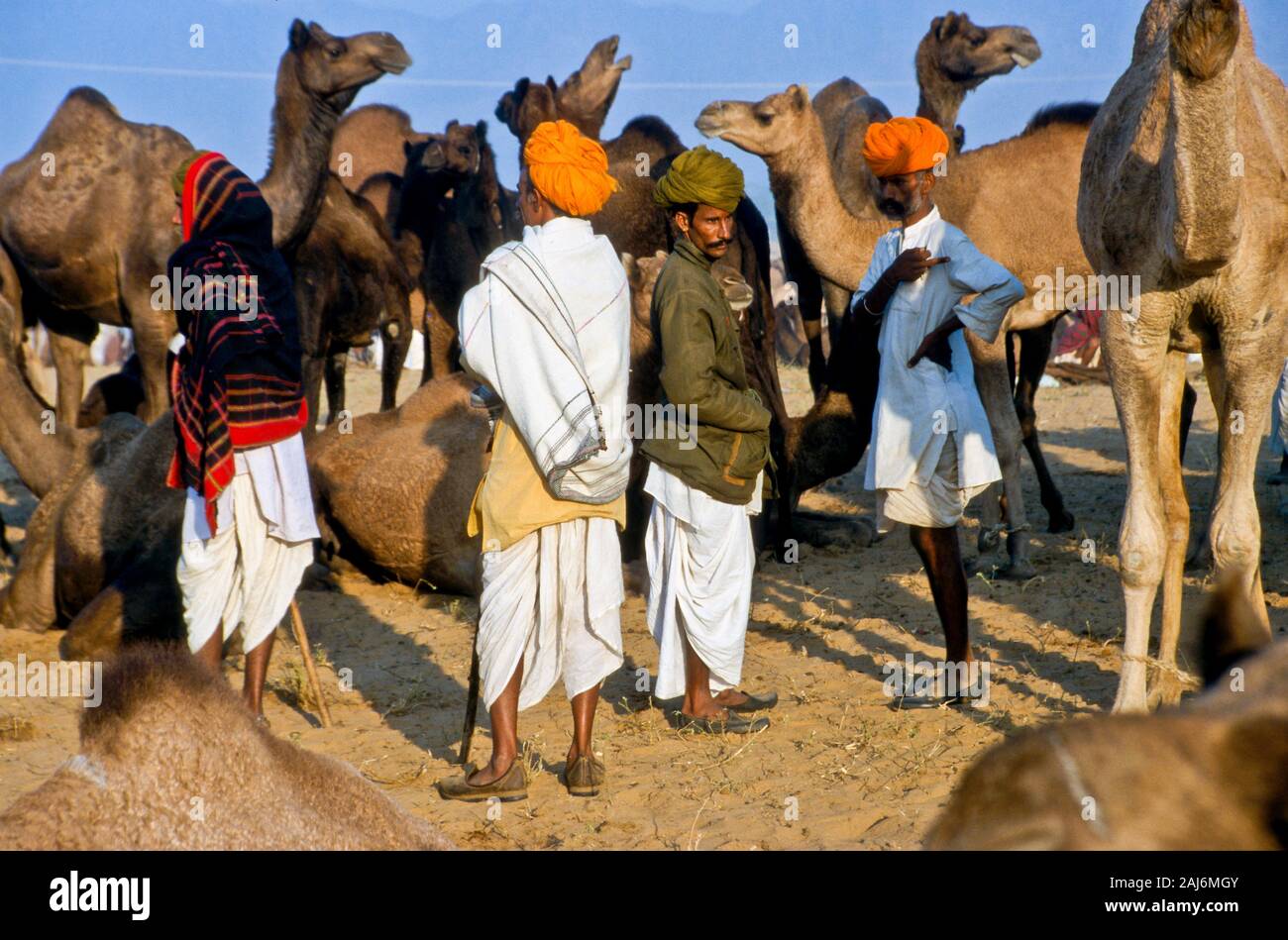 Pushkar Camel Fair, uno dei più grandi camel-mercati in Asia Foto Stock