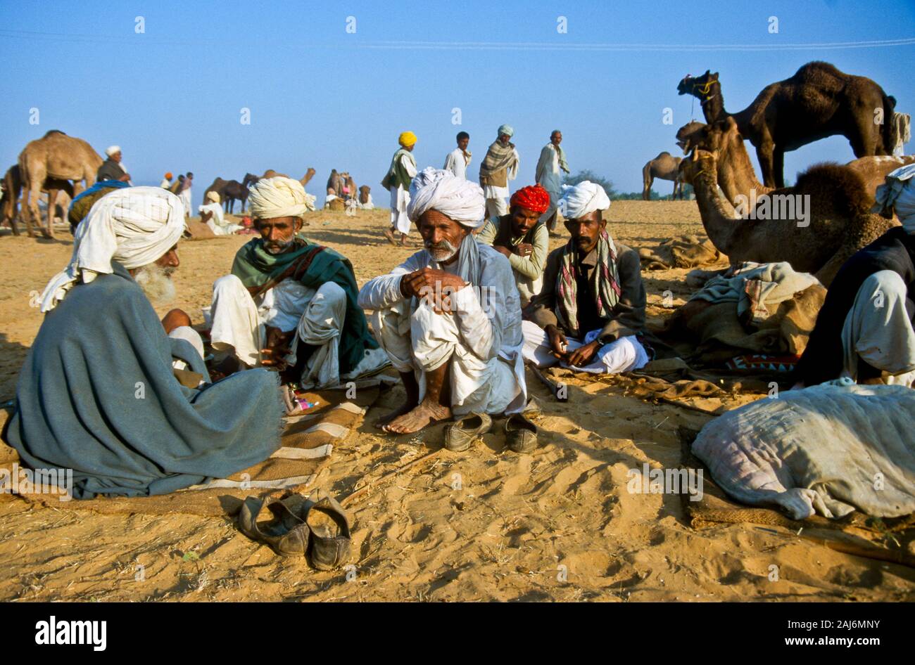 Pushkar Camel Fair, uno dei più grandi camel-mercati in Asia Foto Stock