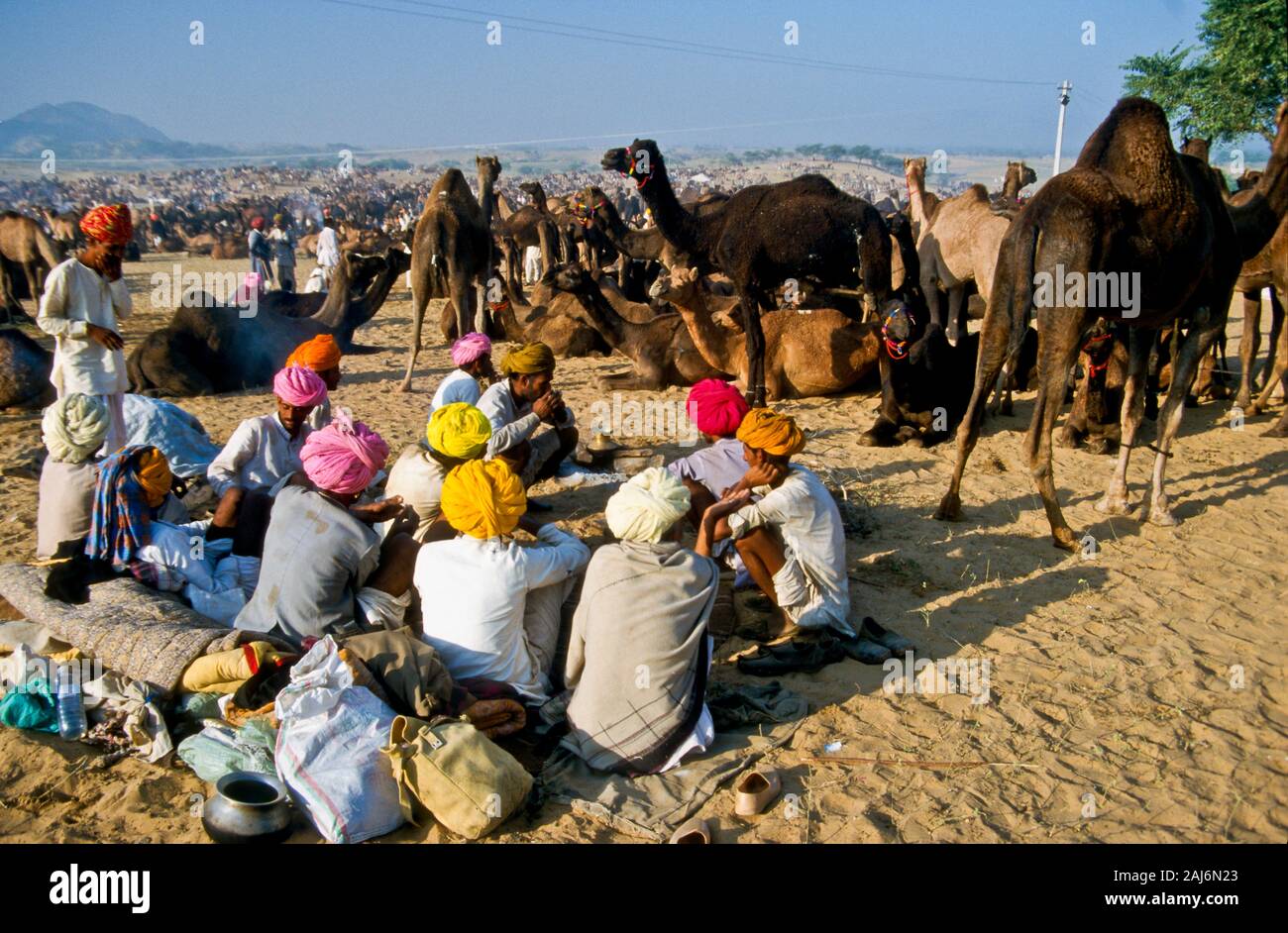Pushkar Camel Fair, uno dei più grandi camel-mercati in Asia Foto Stock