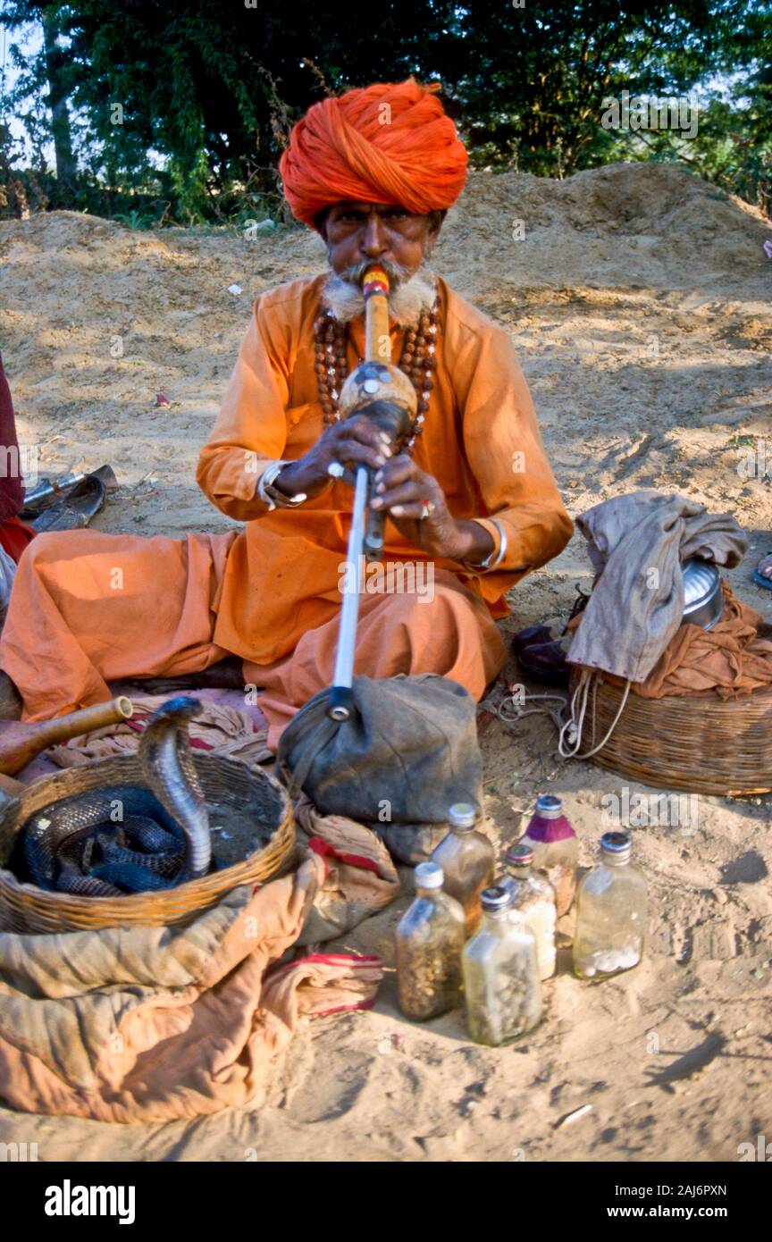 Il serpente incantatore intrattenere i visitatori del cammello di Pushkar Fair Foto Stock