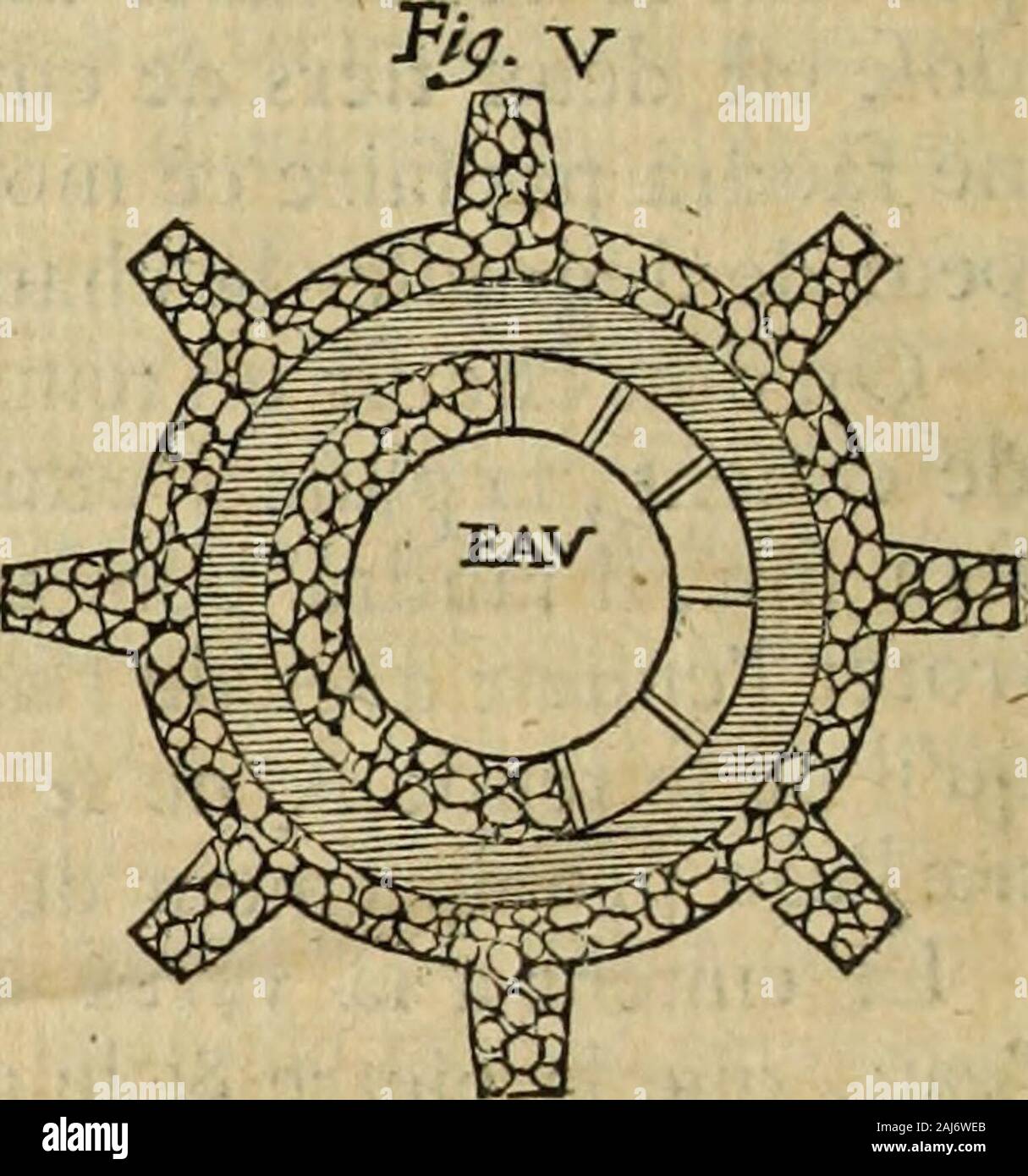 La theorie et la pratique du jardinage : , comme sont les parterres fioriti, les bosquets, les boulingrins, &c : contenant plusieurs piani et disposizioni Generales de jardins, nouveaux desseins de parterres fioriti .. & Autres ornemens servo à la decorazione & embélissement des jardins : avec la maniere de dresser terreno onu .. . Que leau couvre également tousles murs, &; quil sentretienne toujours bien en plein ; ce quieft dune grande beauté à une pièce deau, & de grande con-fèquence conferver pour les differens Baffins dont je viensde parler : auto fi cëft onu de Baffin glailè, leau nétant pasafies haute, la Foto Stock