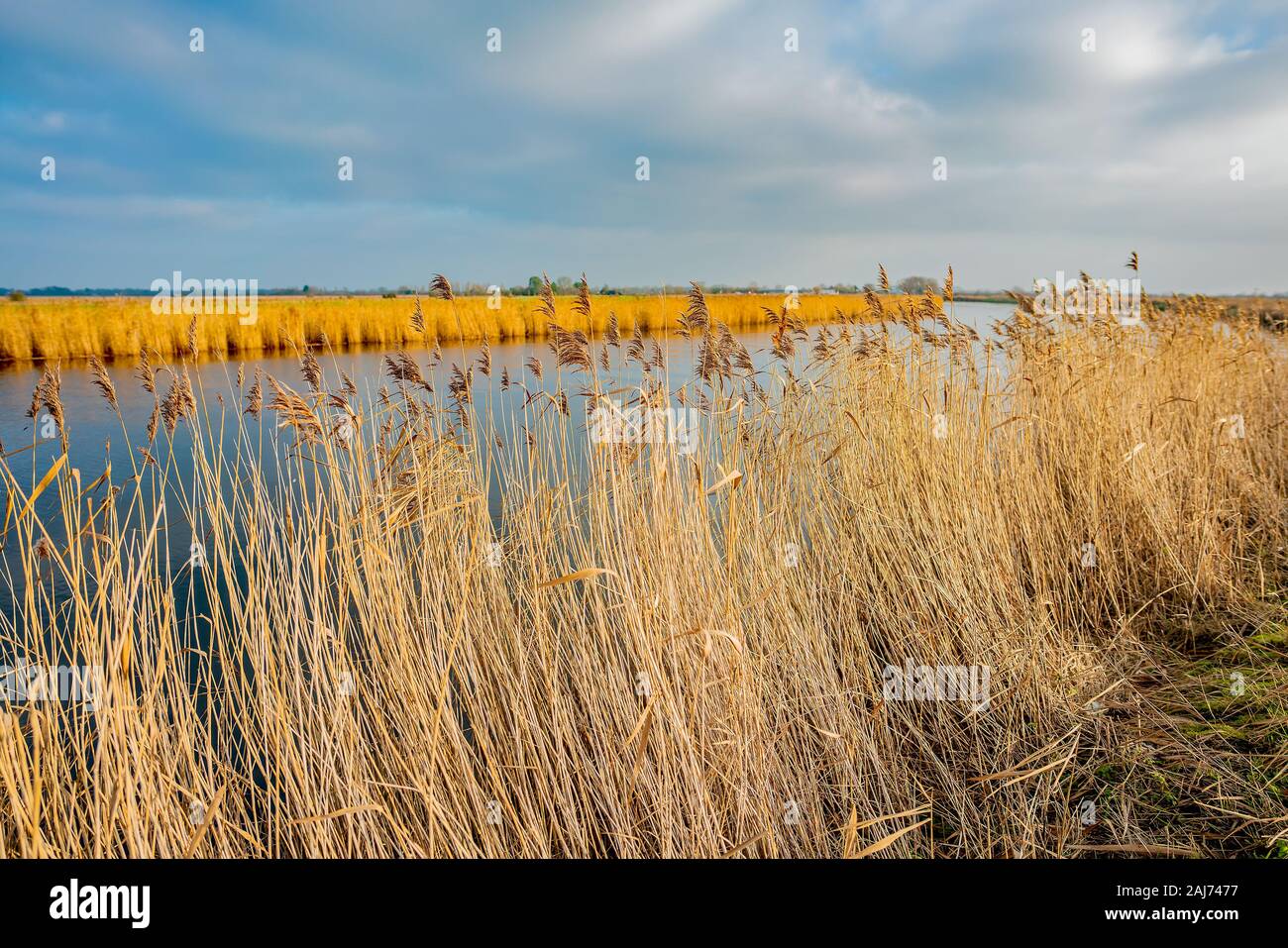 Vista sul Fiume y vengono in Acle su Norfolk Broads Foto Stock