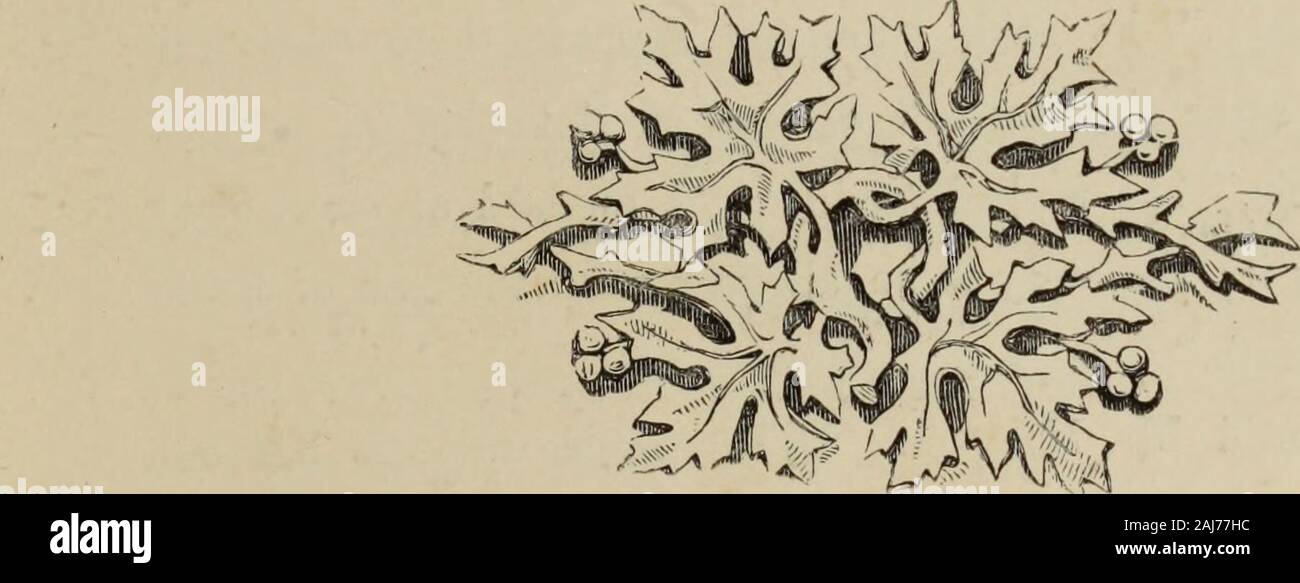 Allegorie sacra . Il giorno seguente, il sole splendeva luminosa su città;-therewas il solito ronzio del traffico e il movimento di va e vieni dell'occupato il re messaggeri. 281 folla per le strade, sebbene la lampada era stata extinguishedin Sophrons dimora e il mercante di età era andato. Molto fewof i passanti notato l'abitazione deserta; ma il KingsMessengers pianse come essi lo videro da lontano, e vi wasa ceppo di tristezza nel dolce musica dei bambini orfani. Theymourned, perché la loro ufficio era in corrispondenza di una estremità; ma quando theythought di Sophron, il loro dolore fu trasformato in gioia. Essi Foto Stock