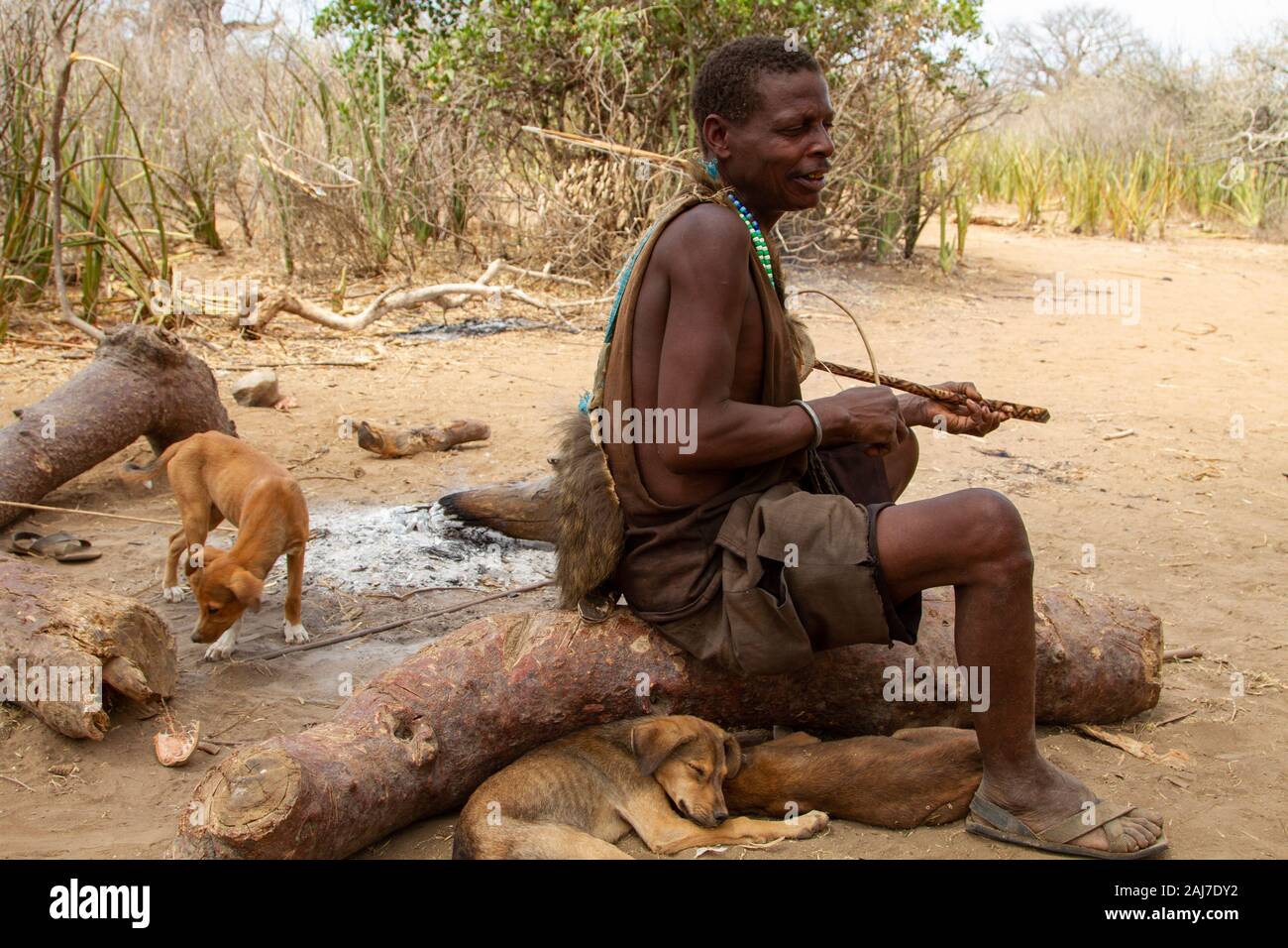 Hadzabe guy svolge un strumenti musicali tradizionali . gli Hadzabe sono un indigeno gruppo etnico nel centro-nord della Tanzania Foto Stock