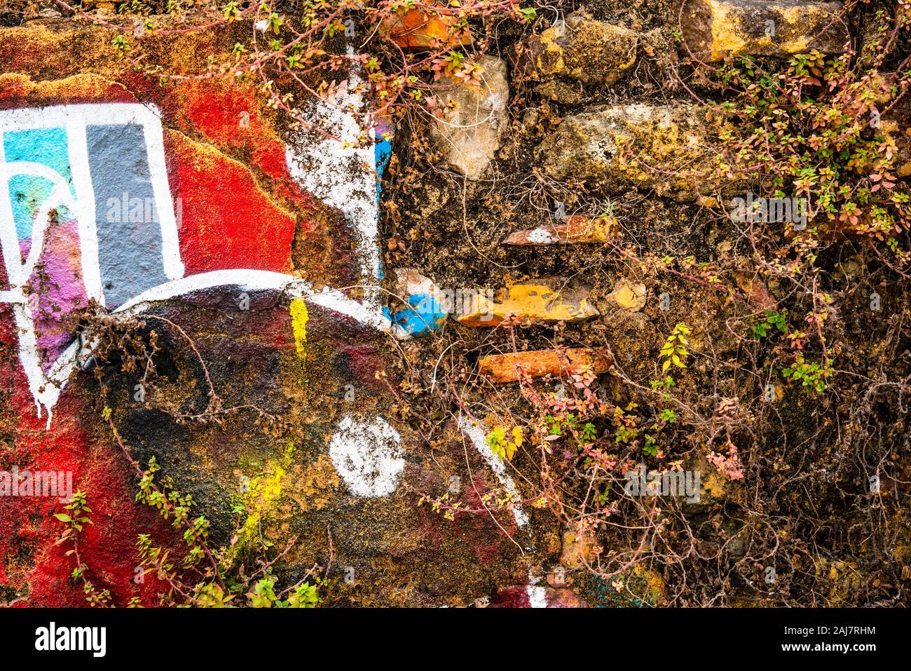 Wall Art preso in consegna dalla natura come il muschio e pianta piccola vita prendere la presa sul mattone waal coperto di graffiti colorati Foto Stock