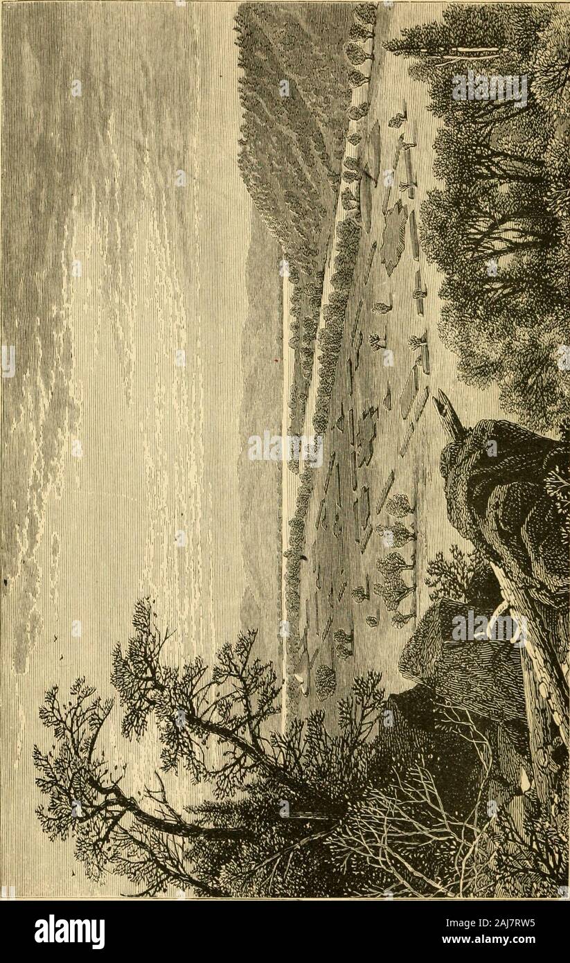 La realizzazione dell'Ohio Valley membri, 1660-1837 . La realizzazione dell'Ohio Valley membri 1660-1837 da Samuel Adams DRAKE storie malce uomini saggi.-Bacon con 3IANV ILLUSTRATIOKS E MAPPE I IfOi^^^ NEW YOEK CHARLES SCRIBNERS SONS 1894 Copyright 1894, byCHARLES SCRIBNERS figli f5 TROW DIHECTOnyI la stampa e la legatoria azienda *! 0 nuovi YORKmakingofohiovall00drak Foto Stock