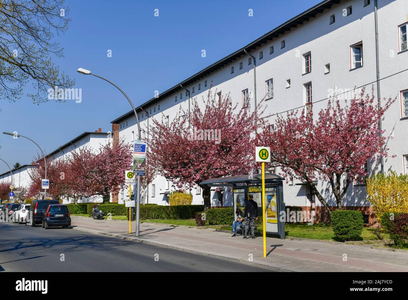 Wohnhäuser, Parchimer Allee, Hufeisensiedlung, Britz, Neukölln, Berlino, Deutschland Foto Stock