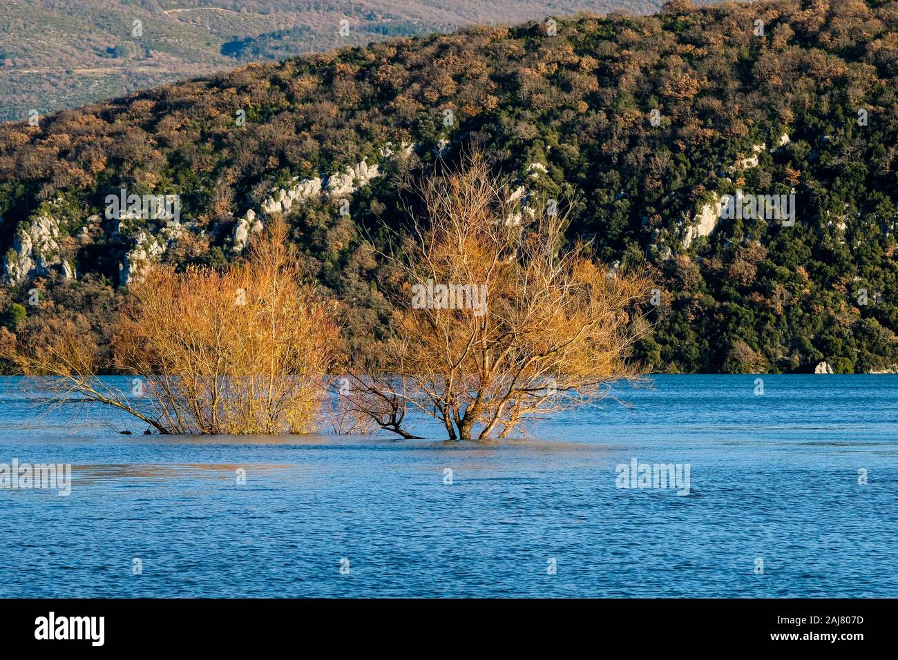 Dicembre 27, 2019, il lago di Sainte Croix, Luberon, Provence-Alpes-Côte d'Azur, in Francia. L'acqua del lago è risorto ed è possibile vedere le cime del Foto Stock