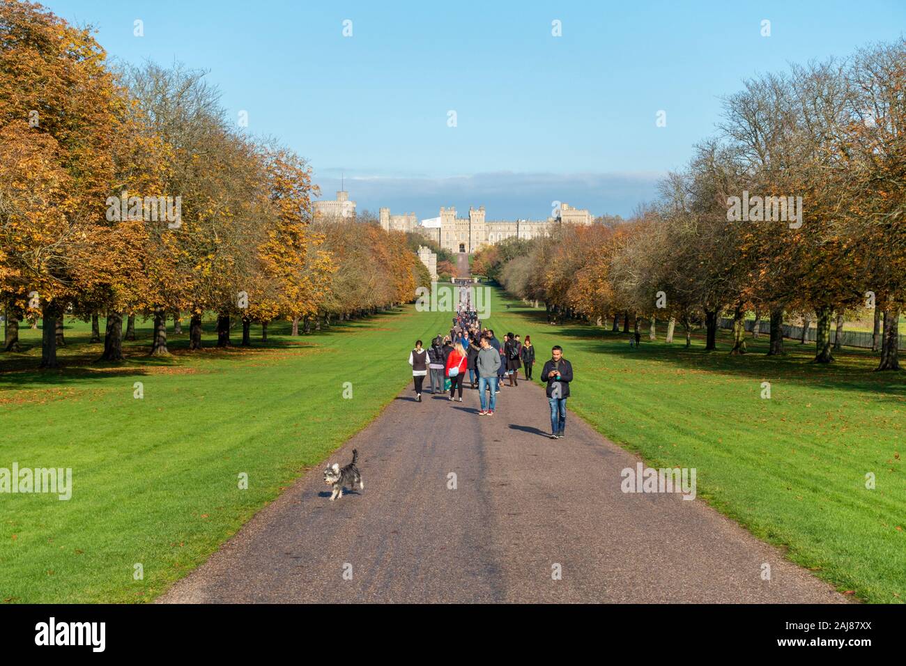 Walkers sul lungo cammino con il Castello di Windsor in distanza, Windsor Great Park, Windsor, Berkshire, Inghilterra, Regno Unito Foto Stock