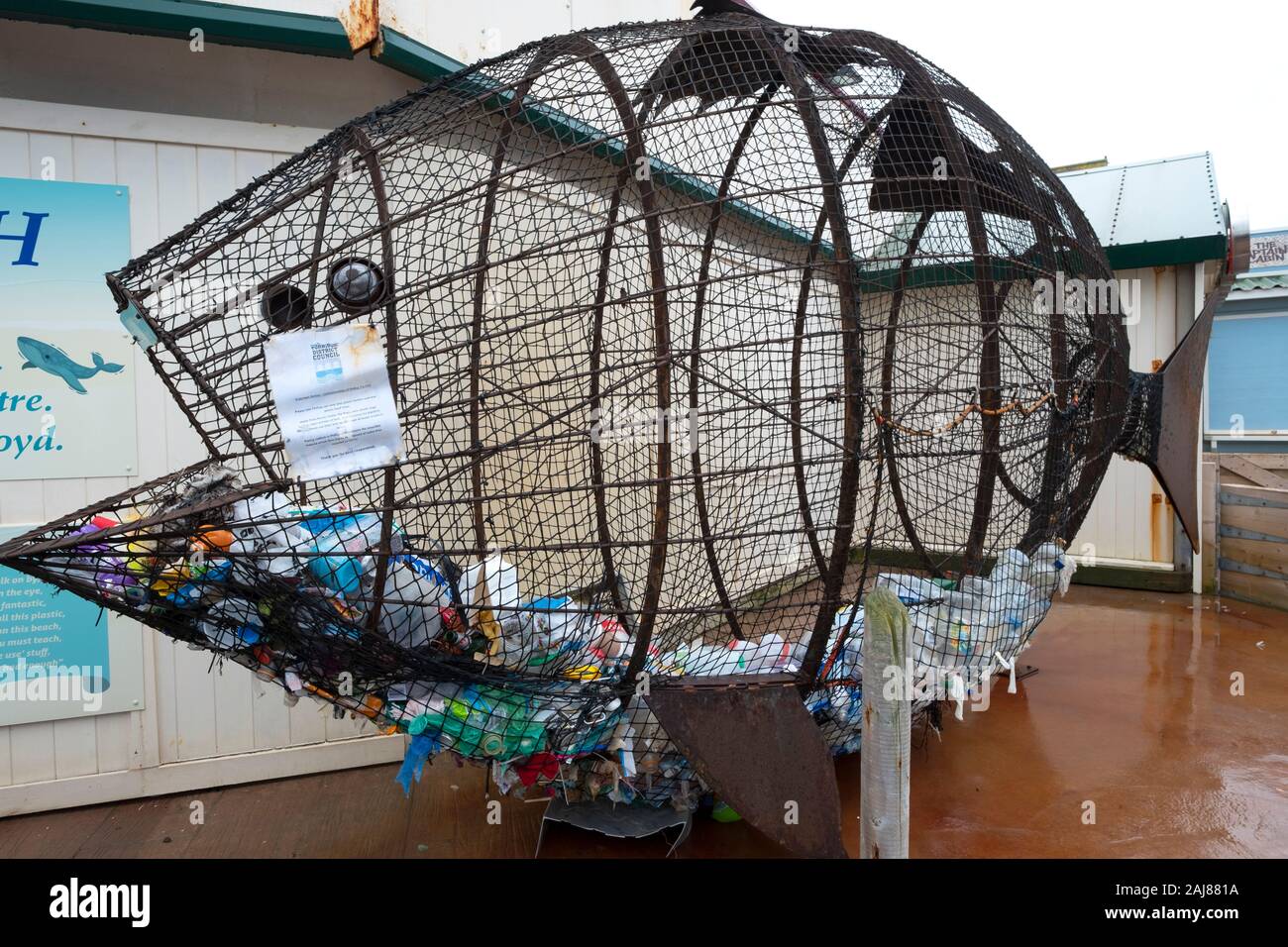 Filup il pesce, creato da metallo artista Robert Floyd, per rifiuti in plastica bottiglia raccolta sulla promenade di Condino North Devon, Regno Unito Foto Stock
