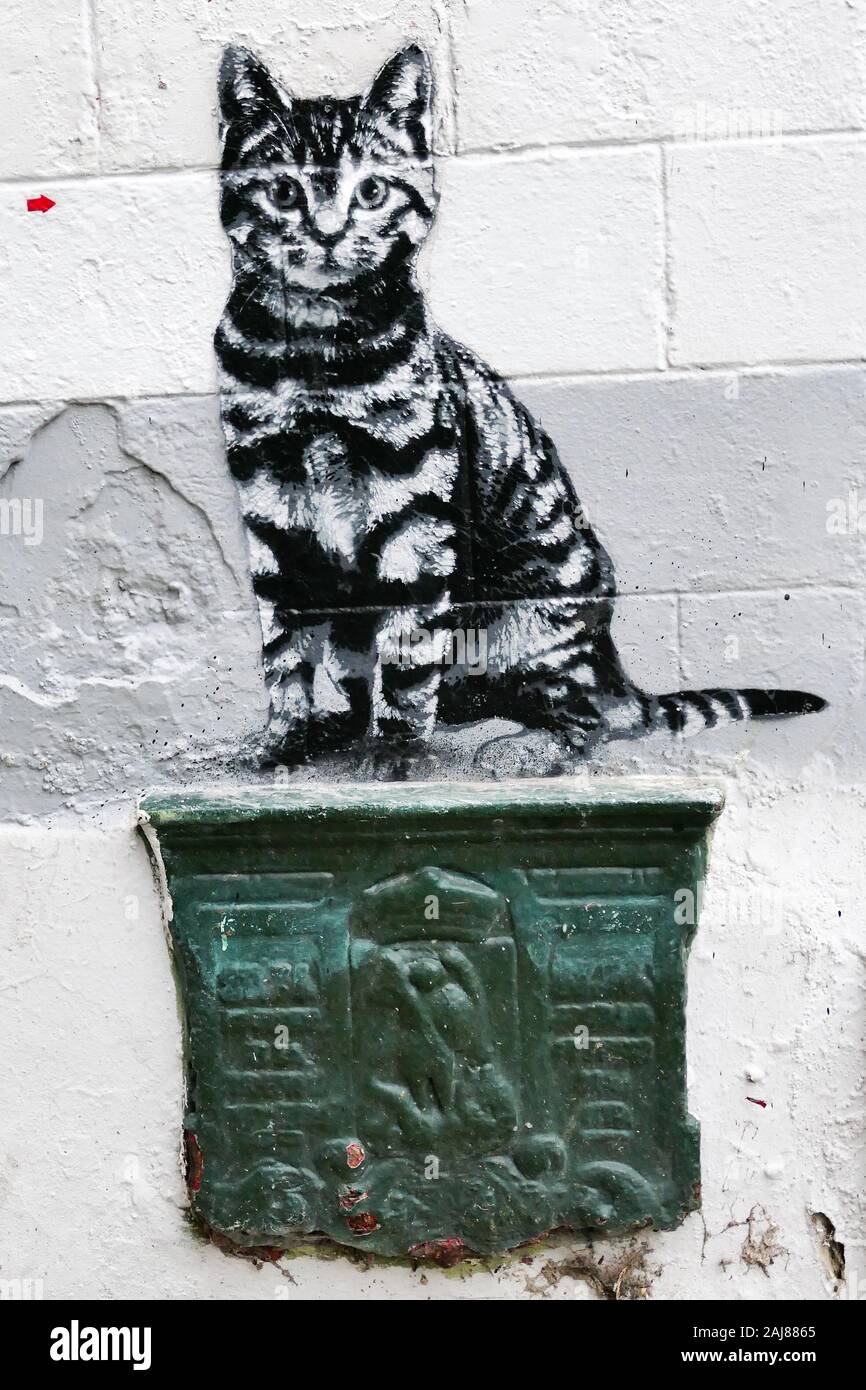 Street Art Jef Aerosol Cat Rue Des Renards Bruxelles 27/12/2019 Foto Stock