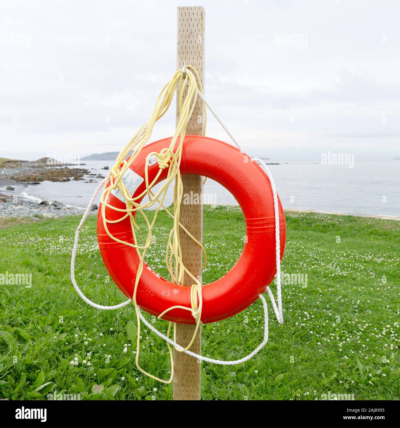 Orange salvagente a Witless Bay in Terranova e Labrador, Canada. Il dispositivo di sicurezza è progettato per uso da parte di persone in acqua. Foto Stock