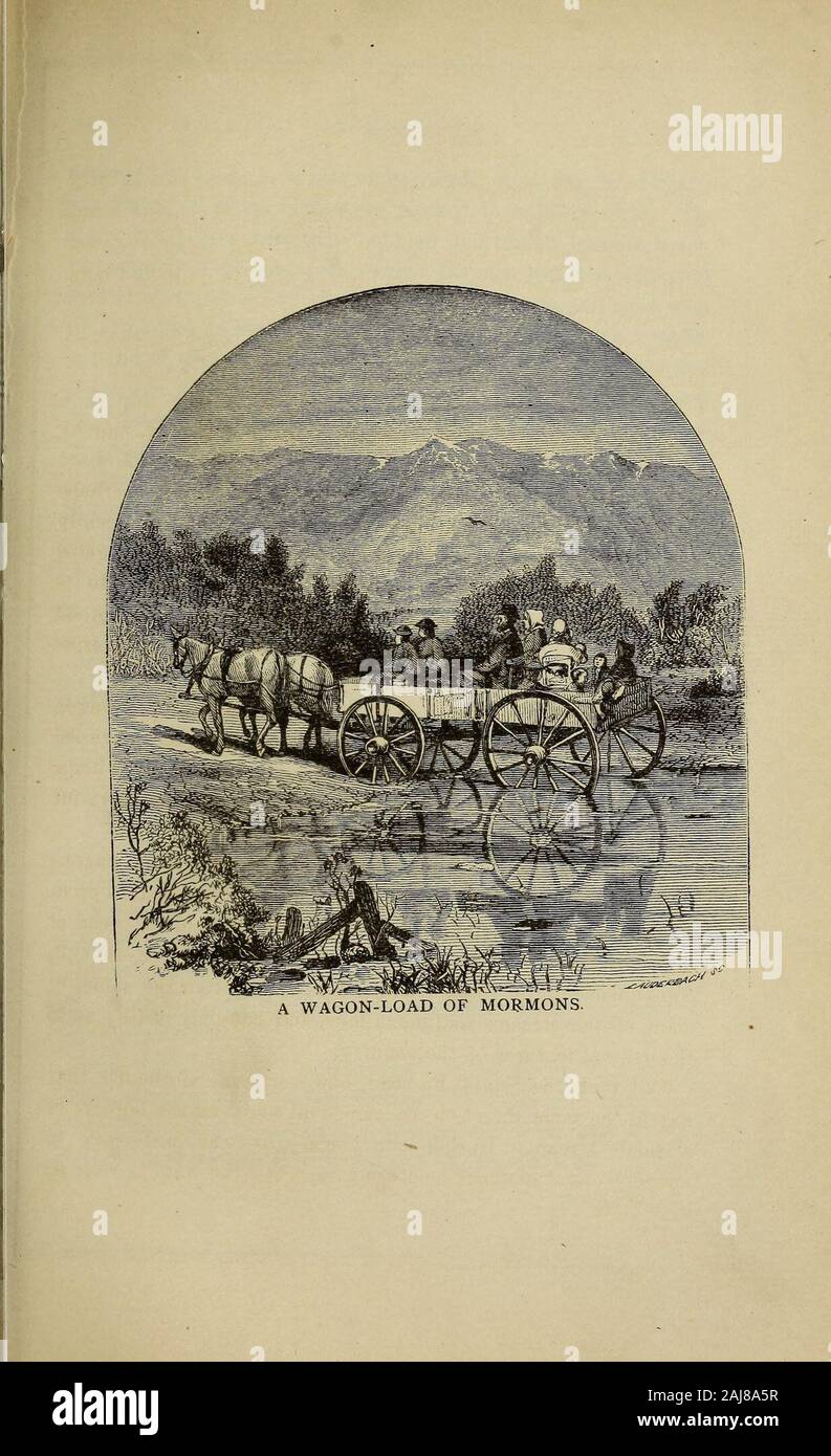 La moglie mormone; la storia di una vita di sacrifici, i dolori e le sofferenze della donna un racconto di molti anni di esperienza personale . , Abbiamo avuto un bel tempo, espe-cially quando confrontato con ciò che è a venire. Abbiamo numerati da uno e cento venti carri, ogni wagonbeing trainato da quattro muli ; cinquanta cavalieri, e venticinque ledhorses ; oltre ad un gran numero di capi di bestiame, pecore, e porci,destinati ad essere macellati sul modo per cibo o per servire forstock quando siamo arrivati alla nostra viaggi fine. Quando siamo arrivati a San Louis, abbiamo trovato molti altri wagonswaiting ad unirsi a noi e, dopo un breve ritardo, procedere Foto Stock