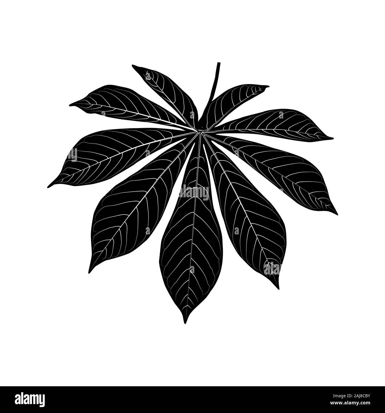 Nero icona foglia isolati su sfondo bianco. Nero foglia tropicale silhouette. Jungle foglia. Silhouette a forma di foglie di manioca. Pianta simbolo leafage. Vettore Foto Stock