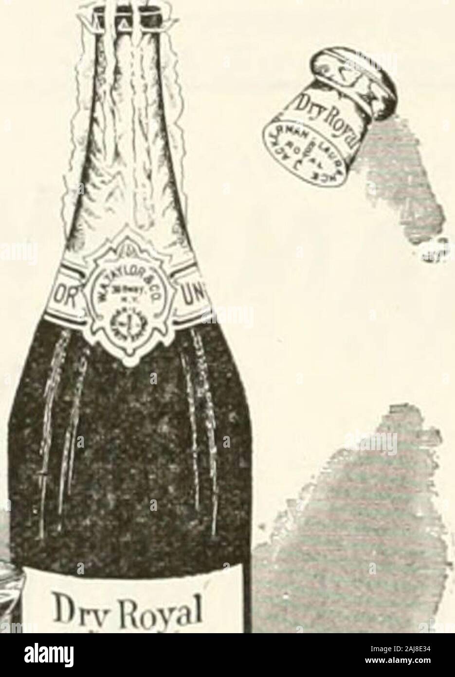 Pacific Vino e spirito di riesame . Andare a iJiae 5^oofe ©Y^oriC ar^cj (JXrti^tic ^o% stampa ,-.(3 I^ 1^ LEGNO CO. 3i4 1** B^VTTERY ST., s,^F. Dove nulla ma di prima classe di lavoro viene eseguito ^-^^^ io-io^ "i^"^ 32 l^ASifie WIJE /rJ^D SflF^lT F^EVIEW. W. A. TAYLOR & CO. 39 Broadway, New York. GONZALEZ. BYASS & CO.,SUVA & COSENS -BLANDY BROS & CO,ACKERMAN-LAURANCE,WILHELM PANIZZA,MARTINI &L ROSSI,I. & V, FLORIO, - -PETER F, HEERING, -REIN & Co, - - - porte SHERRIES MADEIRAS scintillante SAUMUR RENO Vermouth Vini - MARSALAS CHERRY CORDIAL MALAGAS JOSE BOULE,A, BRONDUM & FIGLIO,ROUYER, GUILLET & CO,,Giovanni JA Foto Stock