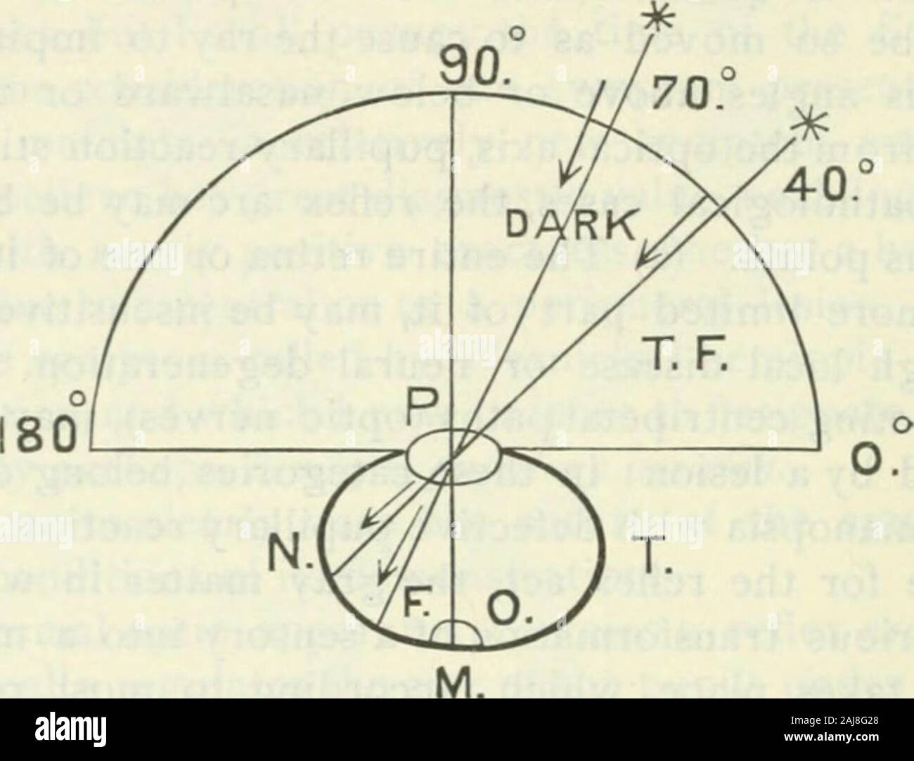 Gazzetta del nervoso e malattia mentale . itis). Dichiarazione Thisgeneral servirà a spiegare tutte le varietà (percorso-ologically parlando) di diminuzione o perdita di pupillaryreflex. Nella varietà che ho intenzione di chiedere al vostro attentionthis sera, vale a dire hemiopic inazione pupillare, una metà di ciascuna retina essendo fisiologicamente inerte, o sostanza anestetica,non riesce a ricevere alcun impulso dalla luce che isthrown su di esso tutti e tre i casi correlati, incluso il pa-tient su cui vorrei tentare una dimostrazione, presentthis sintomo. 73Q E. C. SEGUIN. Ma alcune restrizioni deve beplaced su media-ing Foto Stock