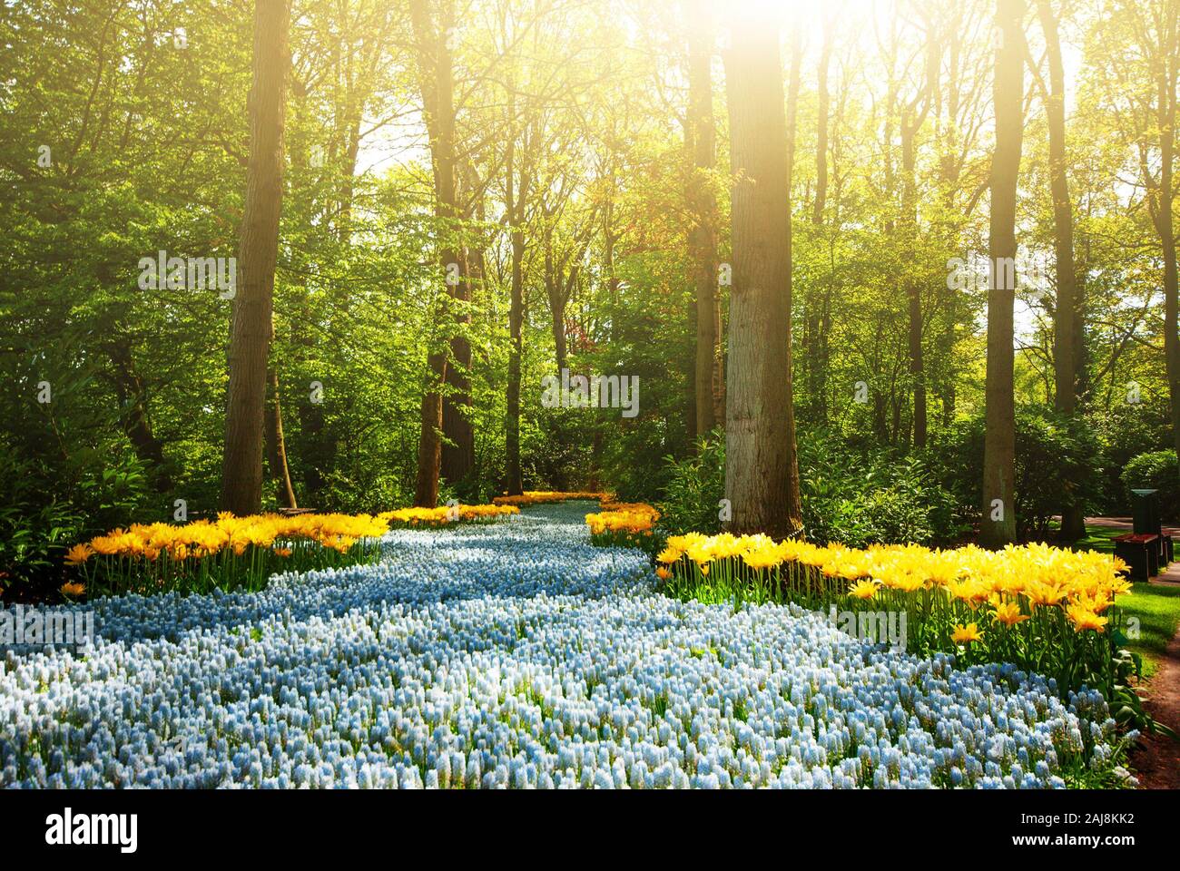 Fiore vista fiume nel bellissimo parco Keukenhof sotto il cielo blu durante la mostra annuale Foto Stock