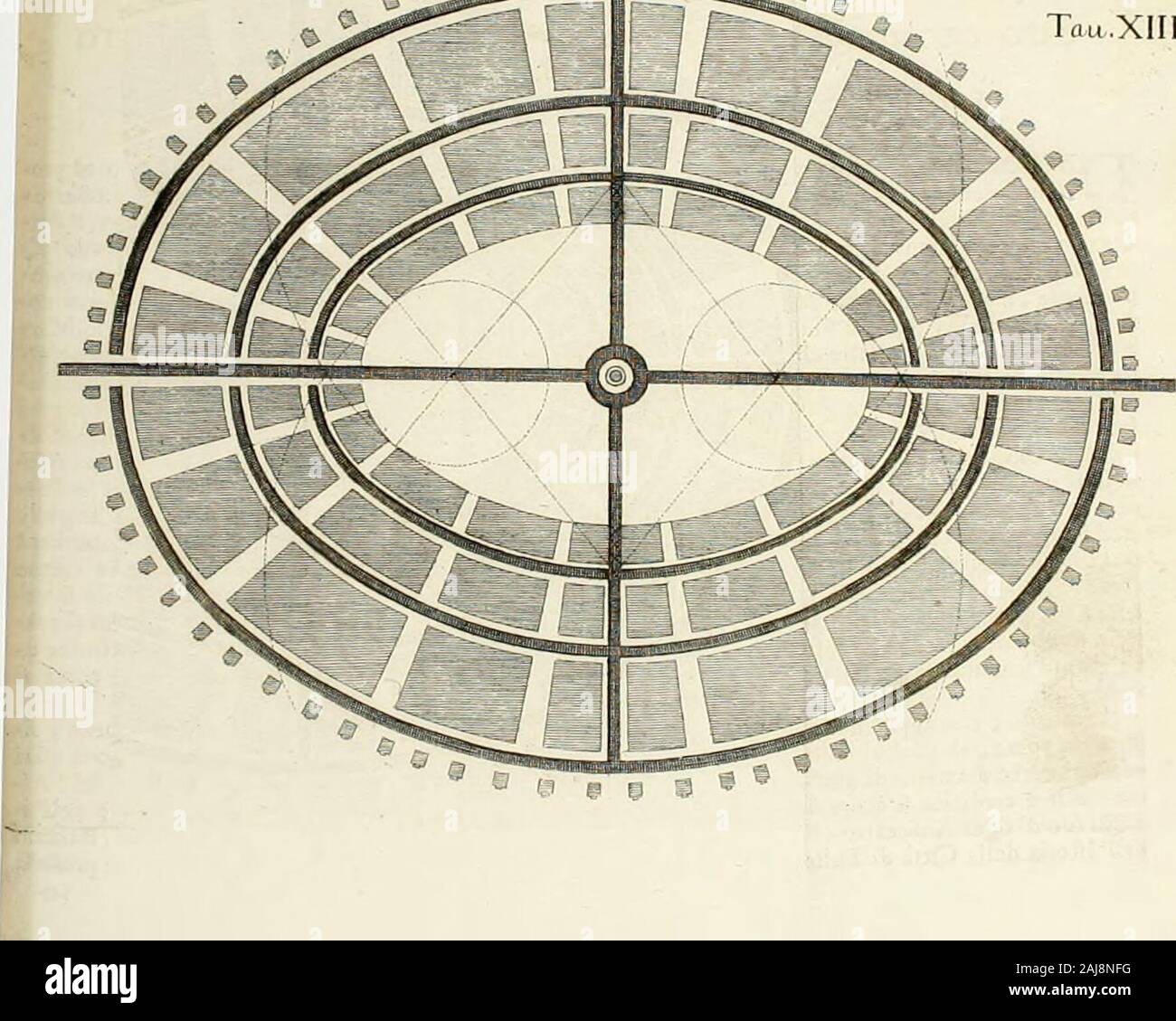 De gli anfiteatri, e singolarmente del veronese, libri a causa : ne' quali e si tratta quanto appartiene all'istoria, e quanto tutti i'architettura . LIBRO SECONDO. z9f kederfl quivi reliquie dAn/Iceatra-, eJnel mezo afferma elTervi onu pozzo , delcquale non fìa flato poQibil mai ritrovareil fondo.ll fondo pu ò fperarfi lo troveran-no , fé cercheran meglio , e il pozzo iaquel fito potrebbe ancora effere indiziadi Teatro , o d* altro edilìzio . Ma la*fciando le bizzarre fpecolazioni , uditeflintorno noUro al pozzo , la bocca delquale anticamente flava coperta , e ce"cultata , r ufo fuo è manifefto , pesce persico Foto Stock