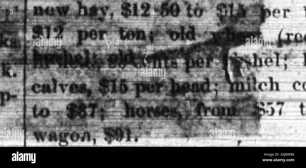 Boone County Recorder . 6 a.a. a 8 p. m. tjic quattro primi e ultimi threedays nel corso della settimana. Lo scorso lunedì mattina il Professor C. G.Riddell ha iniziato la piena e semestre invernale ofschool a Locust Grove school-house. Sposato-All'ottavo fhst., bv Rev. C S.Carter, il sig. Sumue! Smith a perdere FlorenceRy.lc. Il decimo inst., dalla stessa, Mr.John Bradford a Miss Julia Stephens. Pcrsonab-J. H. Waltons residence è re-ceiving un cappotto di vernice.- John S. Hncys Bachelor Giovanni JCampbell WelterColeman LucyCraig Miss RDelph JamesDenigdn HughFowler ChastenFancher un GHortoii JosephKclley AmandaMartin FreemanPttttcr Foto Stock