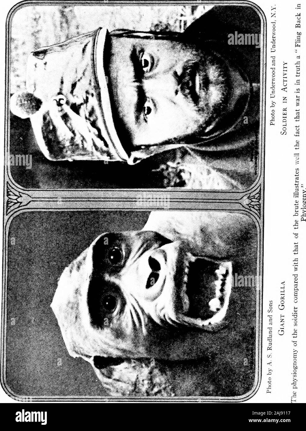 Una visione meccanicistica della guerra e della pace . della terra ha beenmany volte ucciso nella sua forma organica da uomo, andperhaps le forme organiche che ha ucciso in greatestnumbers sono state quelle del suo genere. Così attraverso i secoli è stato istituito withinthe cervello dell'uomo l'azione filogenetico patterns ofkilling, eguagliato nella loro intensità non anche dal PHY-logenetic modelli di azione di procreare. Il actionpatterns di uccisione sono il prodotto non di filogenesi(specie di esperienza) da soli, ma di ontogenesi (individualexperience). Il ruolo svolto da ontogenesi - byparents, insegnanti, letteratura, publi Foto Stock