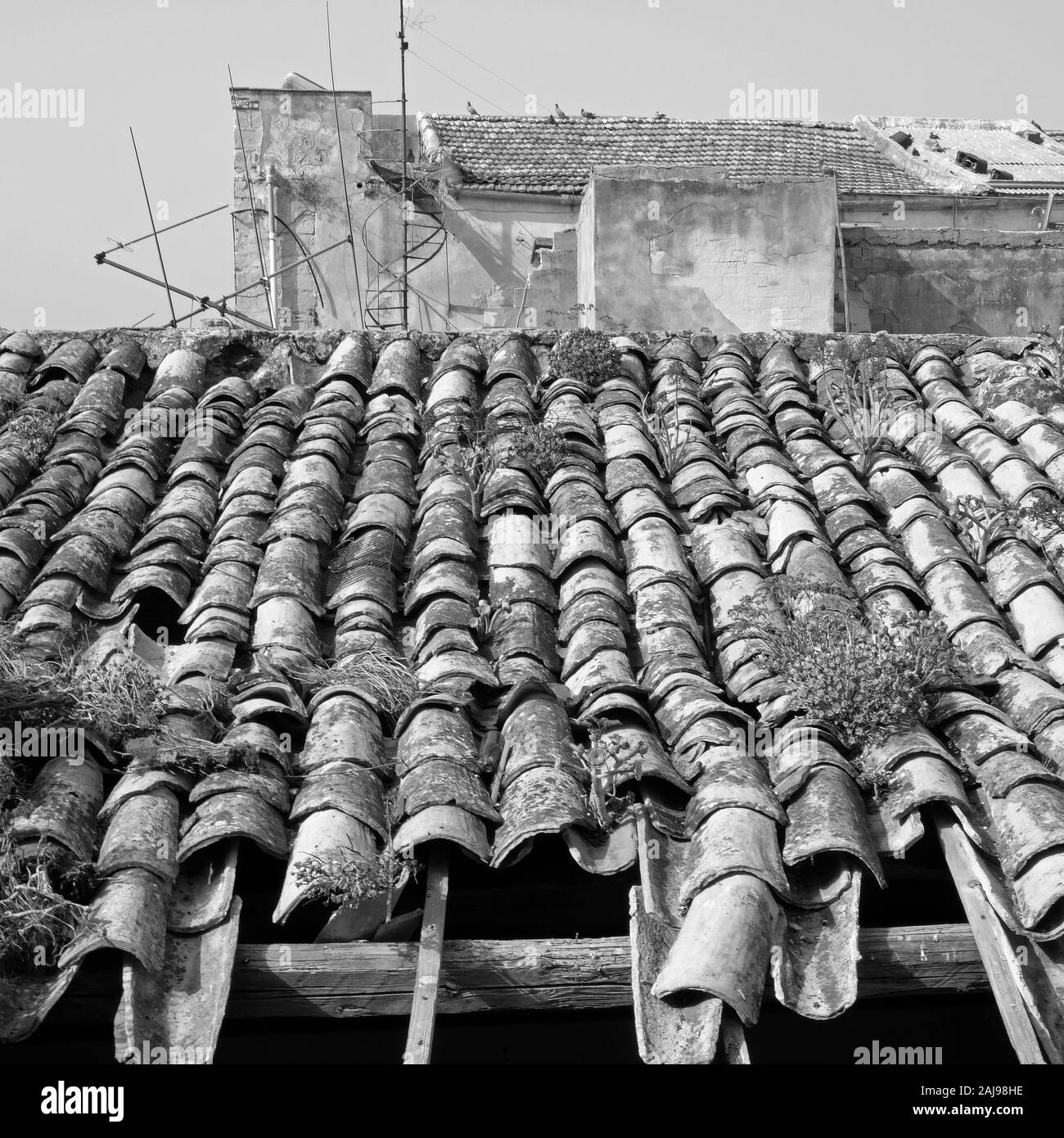 Tetto di tegole di argilla su vecchie case residenziali a Sciacca, Sicilia, Italia. Foto Stock