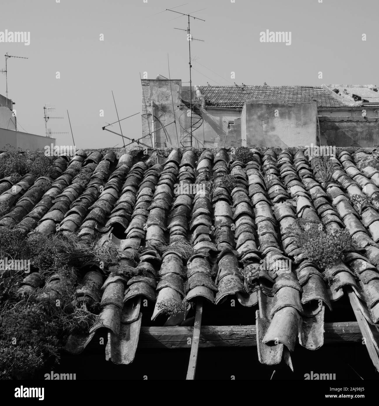 Tetto di tegole di argilla su vecchie case residenziali a Sciacca, Sicilia, Italia. Foto Stock