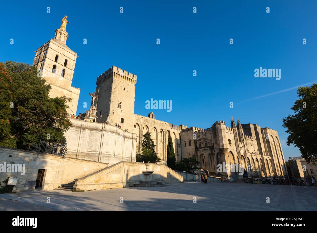 Vista esterna del Palais des Papes Cattedrale (o papa's Palace) nella città di Avignone, Provenza, Francia meridionale Foto Stock