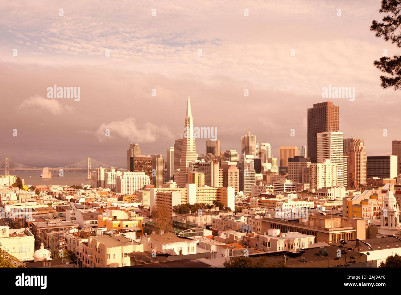 Il quartiere finanziario e il Ponte della Baia di San Francisco, California, Stati Uniti d'America Foto Stock
