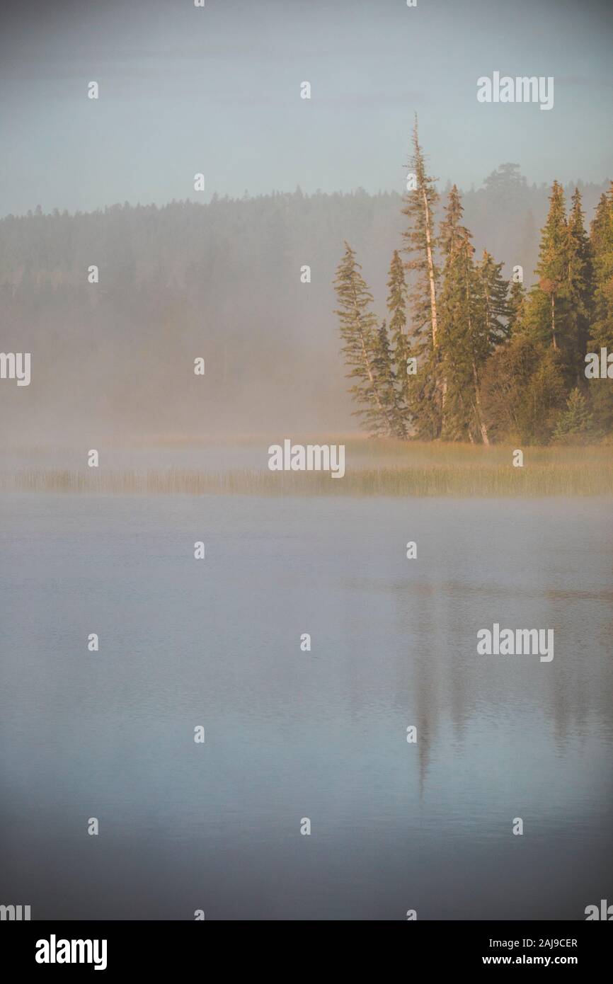 Nebbia mattina riflessi foresta al lago. Foto Stock