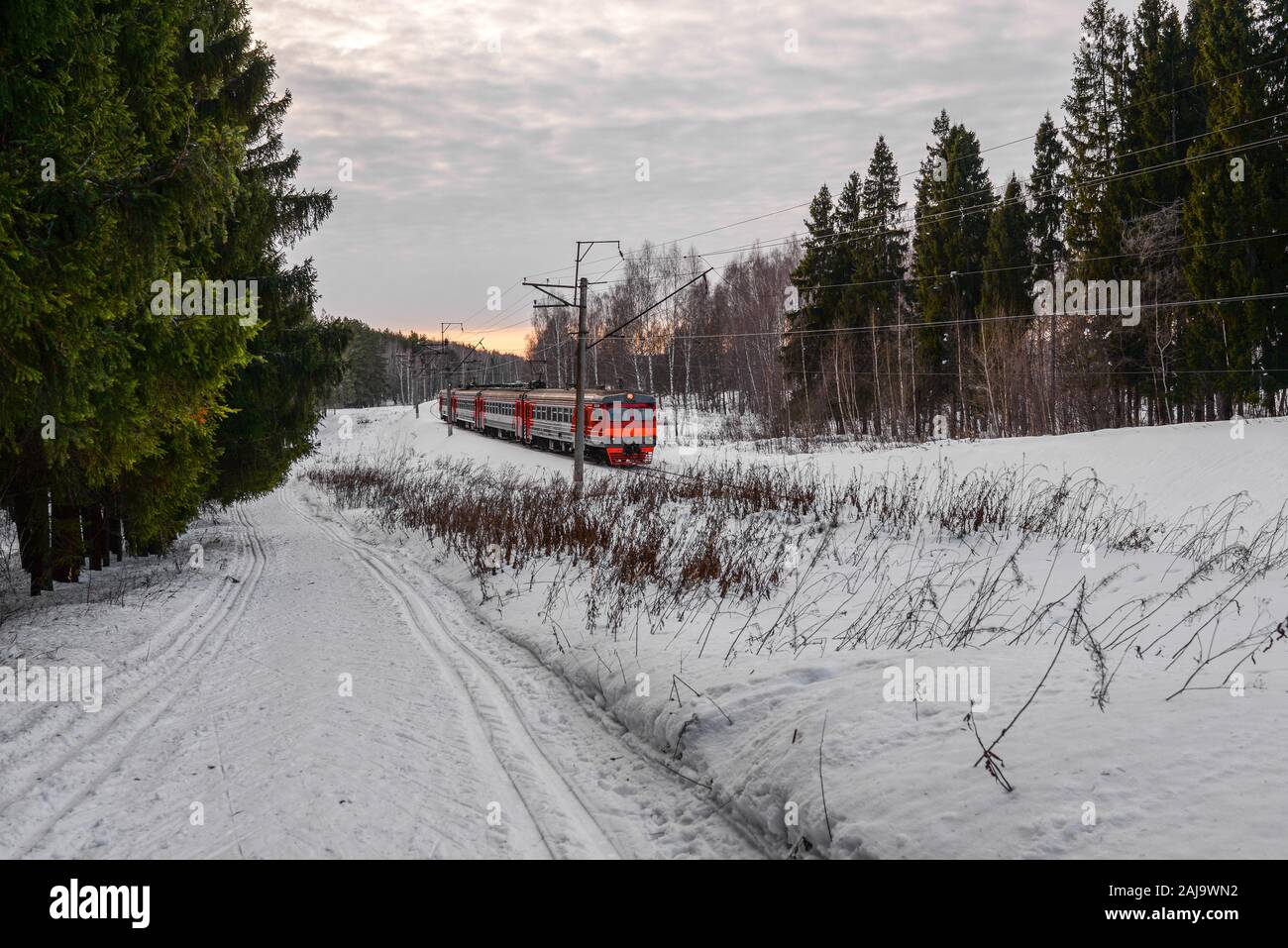 Treni passeggeri scorre attraverso un bosco innevato. Il viaggio in treno. Vista invernale e dalla stazione ferroviaria. Il concetto di turismo Foto Stock