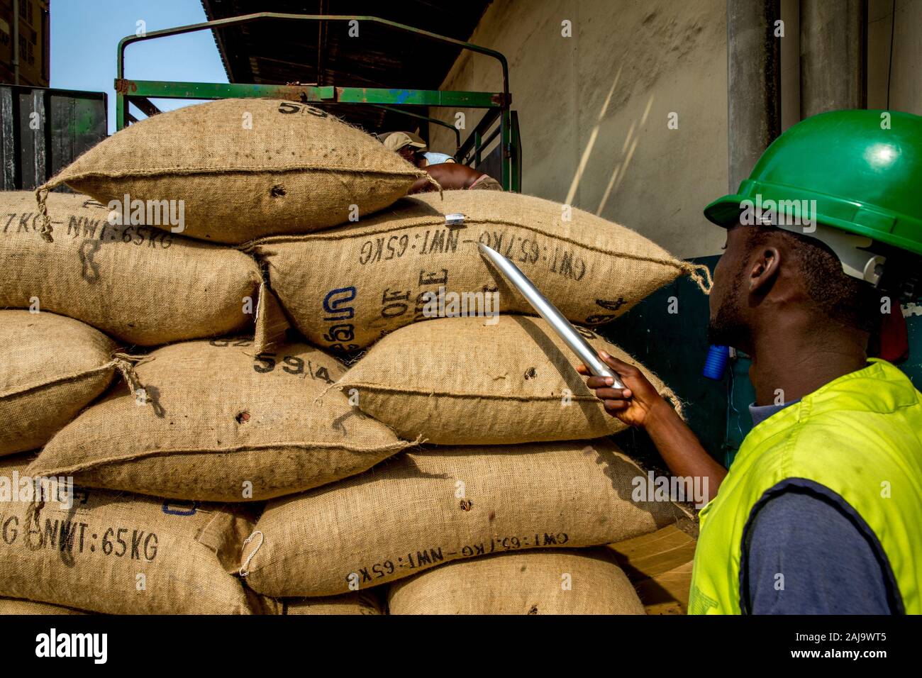 Il campionamento del lavoratore di sacchi di cacao al porto di Abidjan Foto Stock