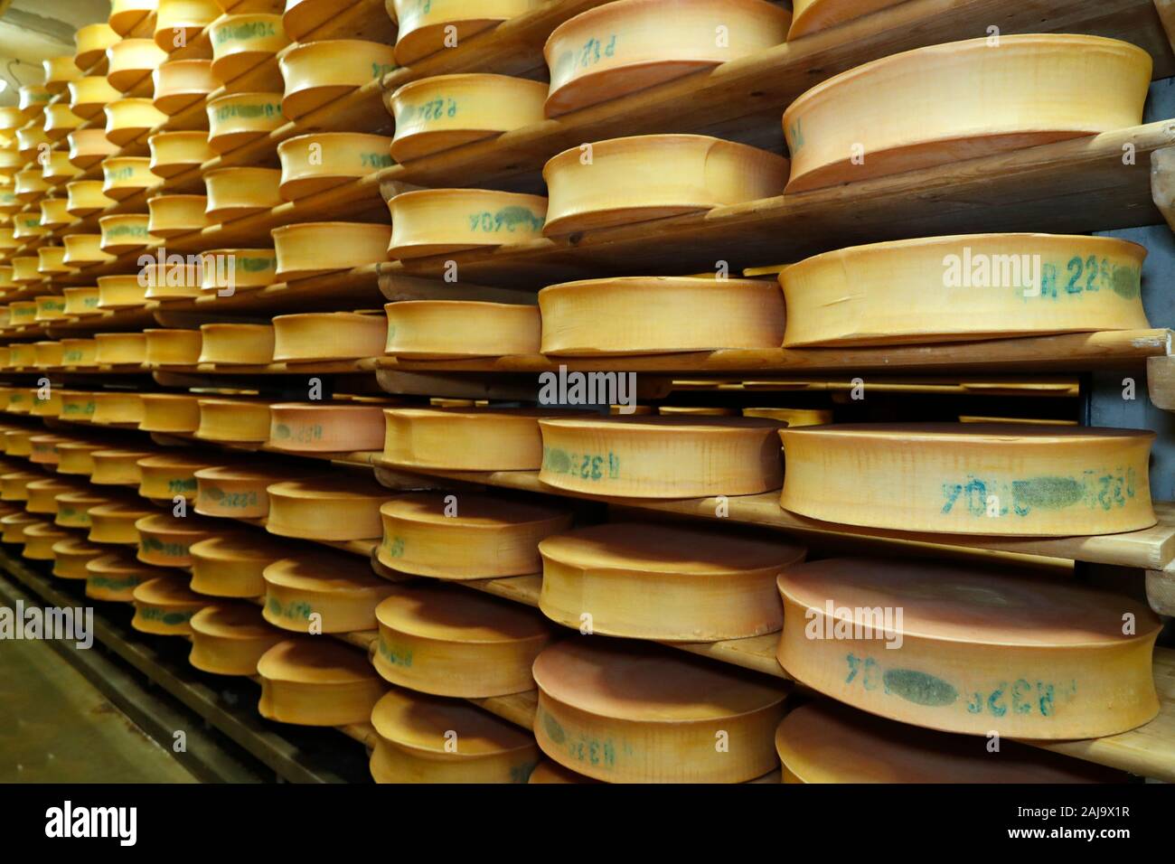 Artigianale del formaggio beaufort nella raffinazione in una cantina tradizionale Foto Stock
