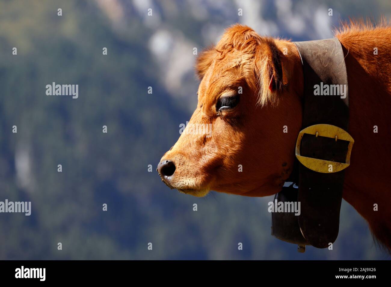 Alpi francesi Foto Stock