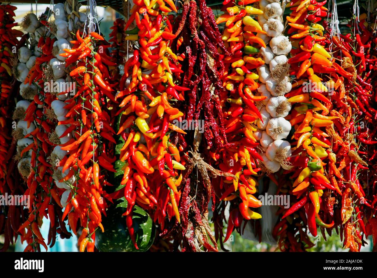 Peperoncino, peperoni secchi peperoncino e aglio a Positano, Costiera Amalfitana, Campania, Italia Europa Foto Stock