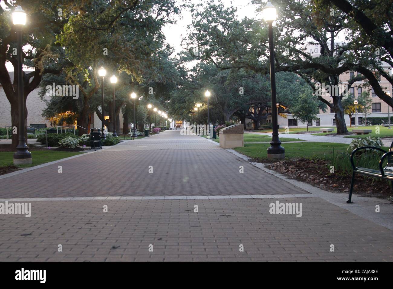 Passeggiata militare - un Texas A&M Tradizione; Texas A&M campus College Station, Texas, Stati Uniti d'America Foto Stock