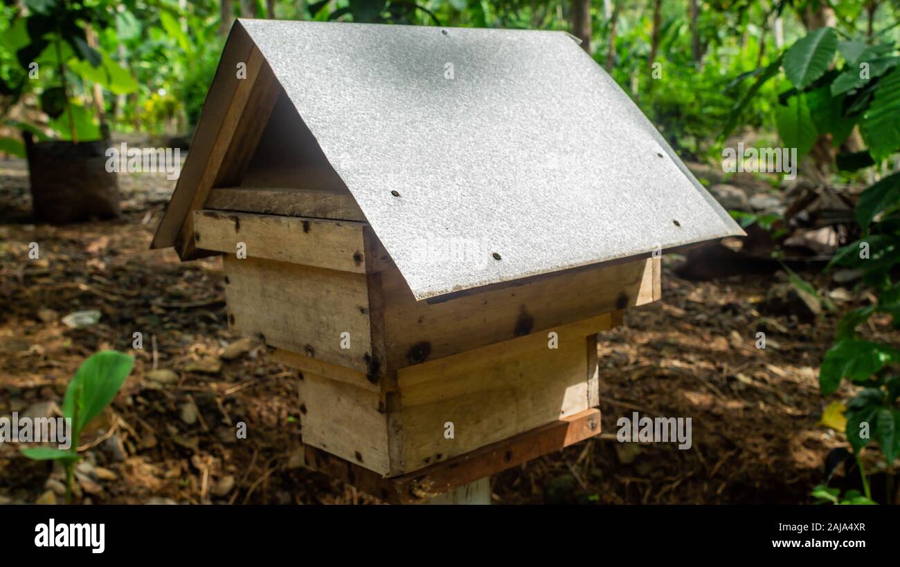 Artificiale di casa in legno di stingless bee / Trigona sp nella piantagione di caffè in Purworejo, Java Centrale Foto Stock