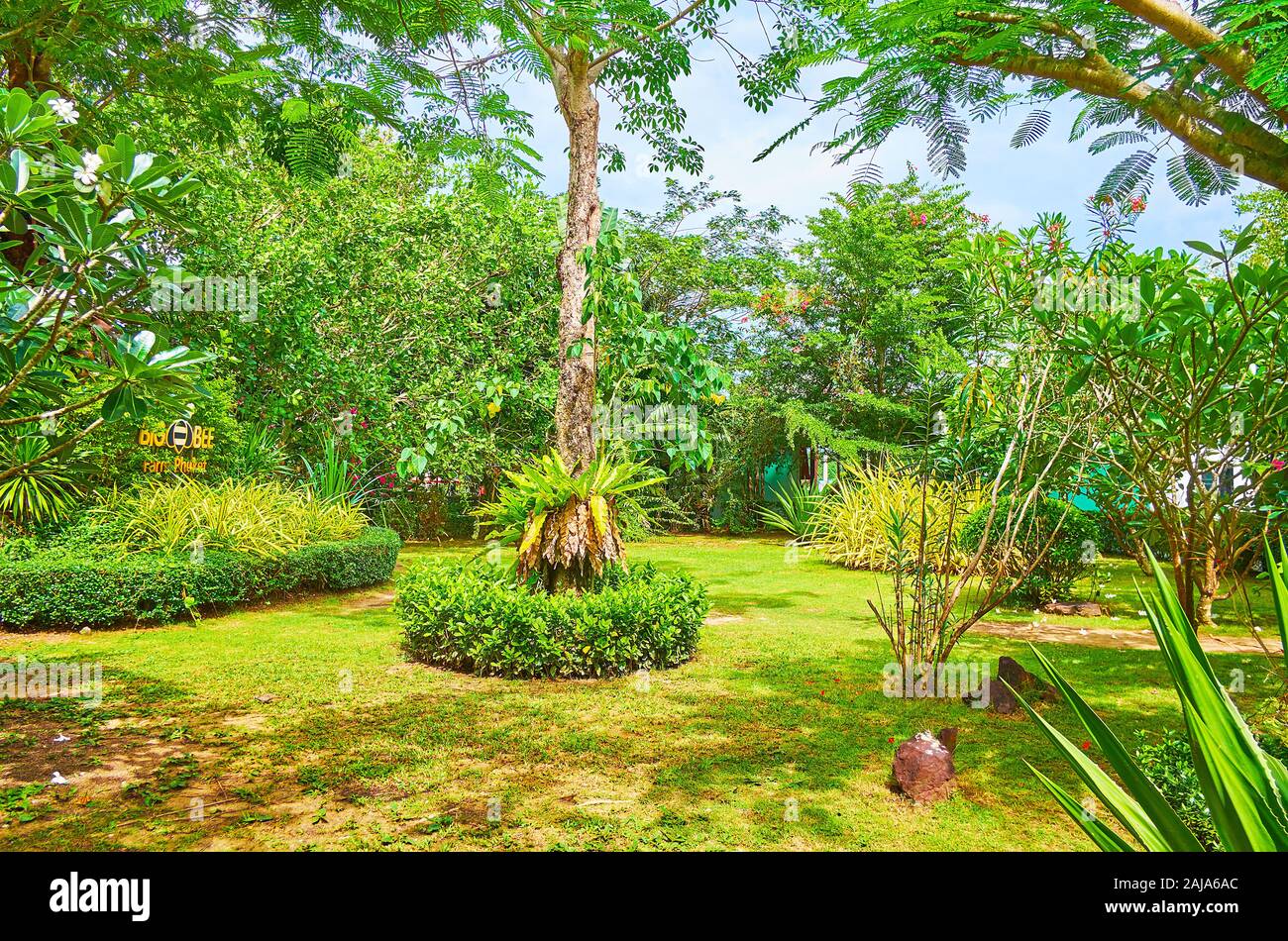 PHUKET, Tailandia - 30 Aprile 2019: il verde lussureggiante giardino del grande Fattoria api, che è uno dei punti salienti di Phuket, famoso tra i turisti, il 30 aprile Foto Stock
