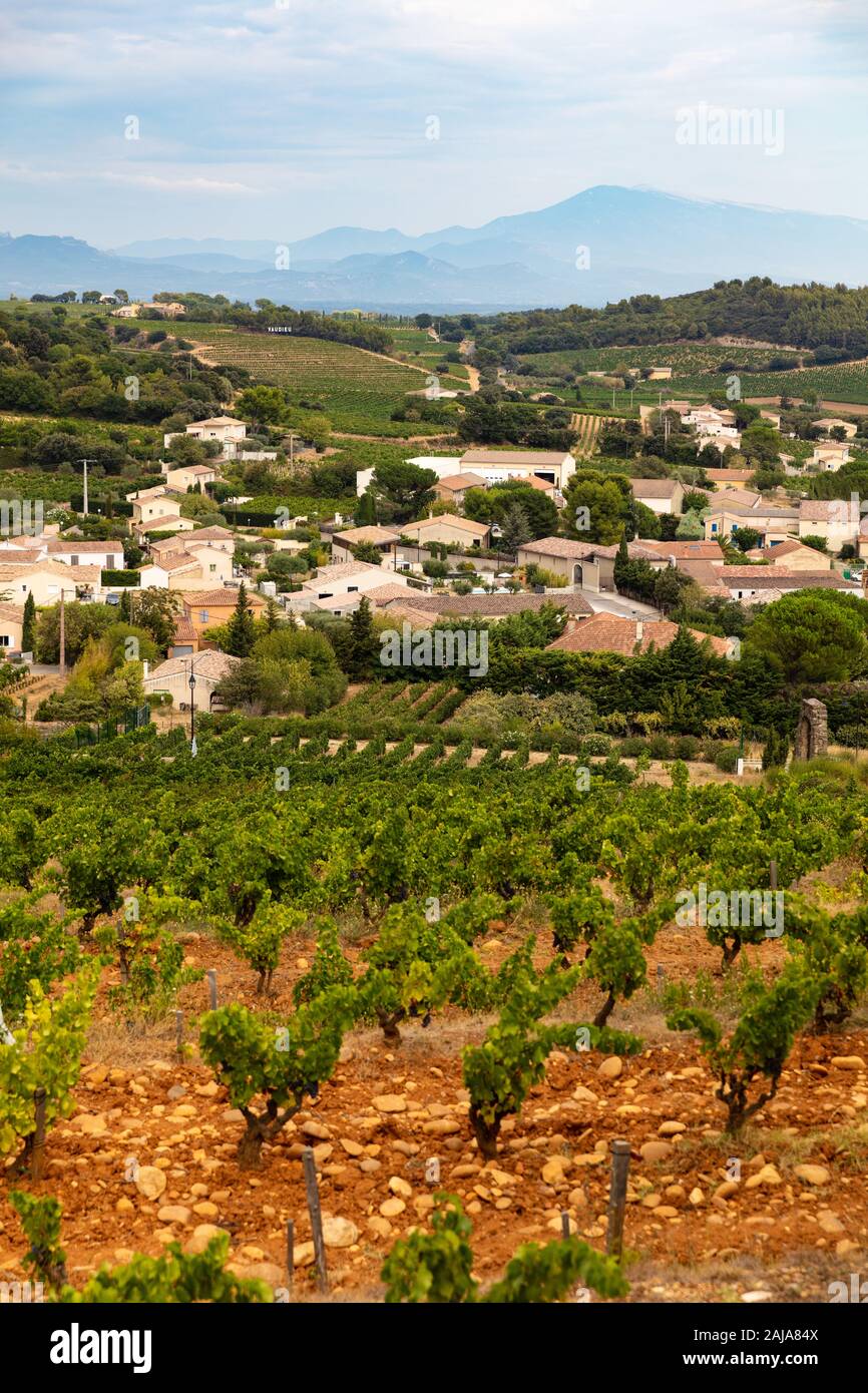 Vigneti vicino a Chateauneuf du Pape, Provenza, Francia, uno dei migliori vini con denominazione in tutto il mondo Foto Stock