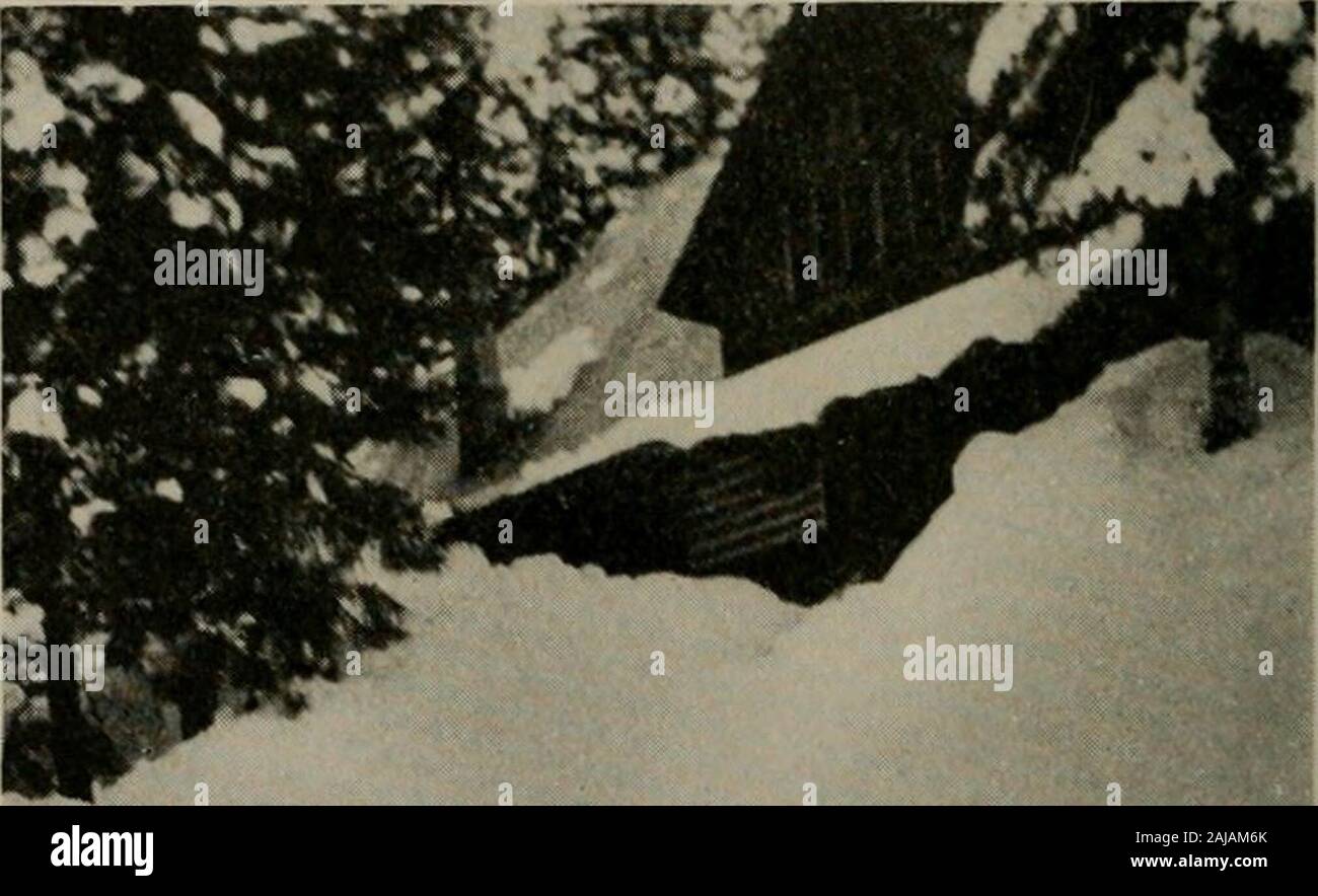 Pacific service magazine . 60 K. V.,che deve essere pattugliati e maintainedin i climi più severi. Alcuni mesi fa molti dei nostri amici,senza alcun dubbio di leggere un breve articolo in news-paper riguardanti il deep-sea diverwho era stato inviato al Lago Spaulding siete dalla società per andare verso il basso e investigateconditions all'ingresso del fuori-let tunnel che sembrava essere cloggedwith detriti. Il subacqueo è venuto, riggedup il suo apparecchio e andò downtown una profondità di ottanta piedi; ma egli didnot lungo soggiorno. Il chiaro ghiacciato Lago waterof Spaulding siete era molto differente a quello al quale egli era stato batterie accu-tomed nella baia di regioni. Egli Foto Stock